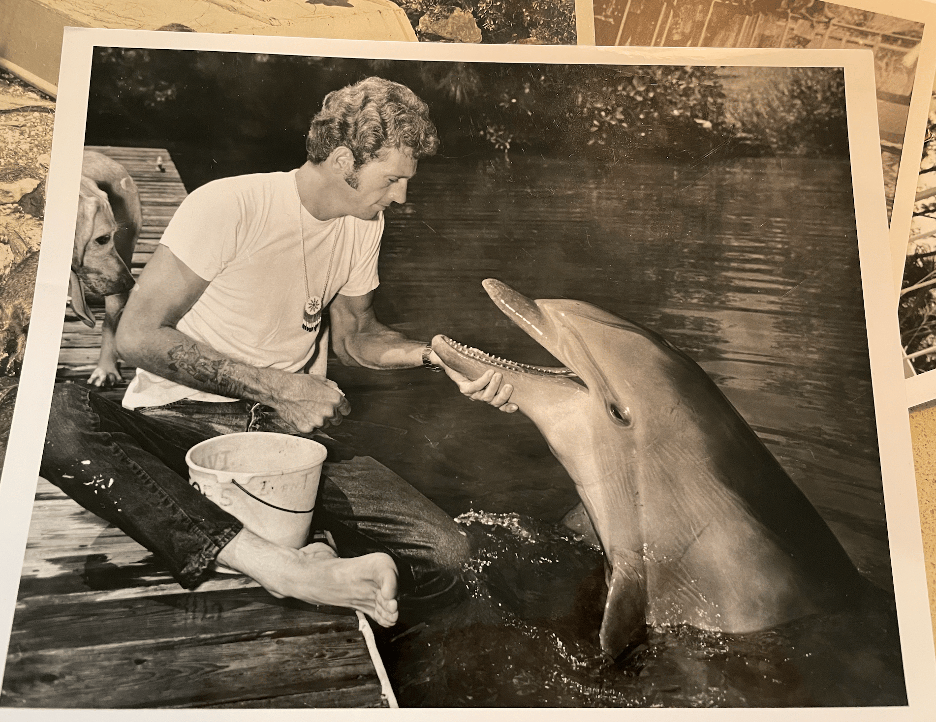 Ric O'Barry en compagnie de Kathy, l'un des dauphins qui incarnaient Flipper dans la célèbre série télévisée. (photo personnelle Ric O'Barry)