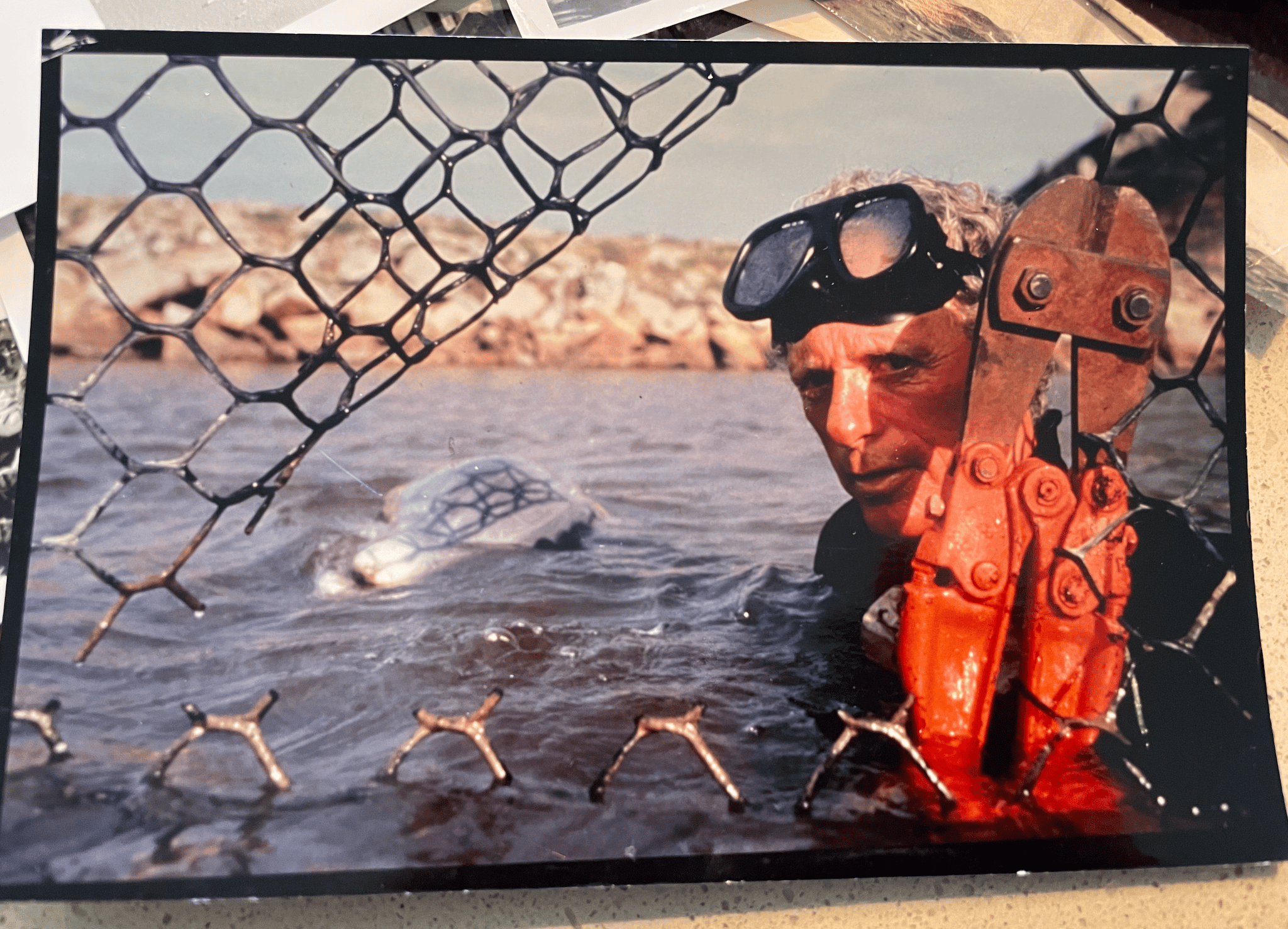 Ric O'Barry, juste après avoir sectionné le grillage d'un bassin en pleine mer dans lequel étaient détenus des dauphins. (photo personnelle Ric O'Barry)