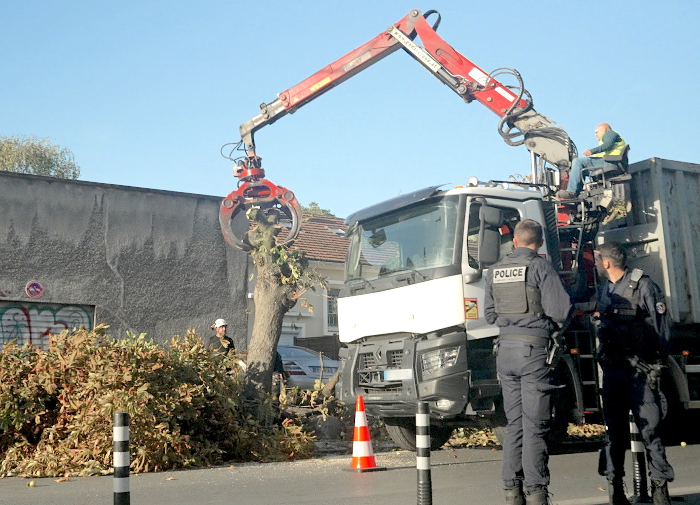 Abattage d'arbres à Montreuil, pour un projet d'aménagement urbain. (photo Winter Productions)