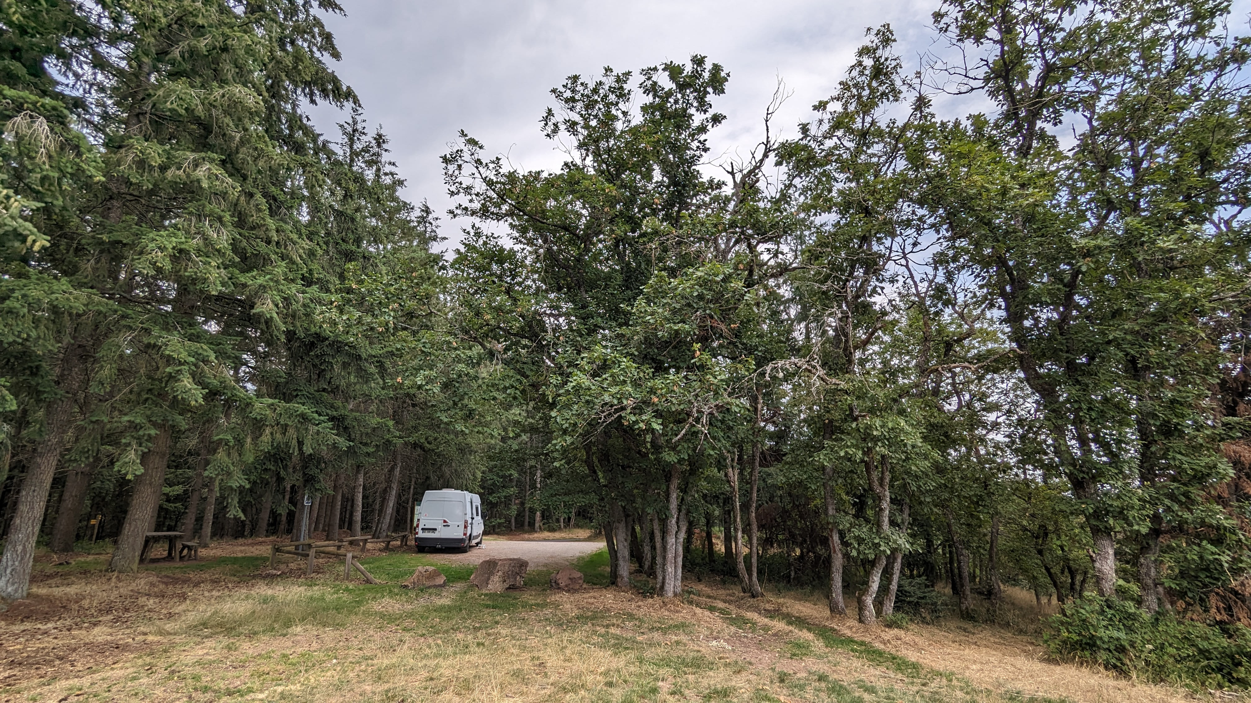 Les arbres, les oiseaux & Chocobo