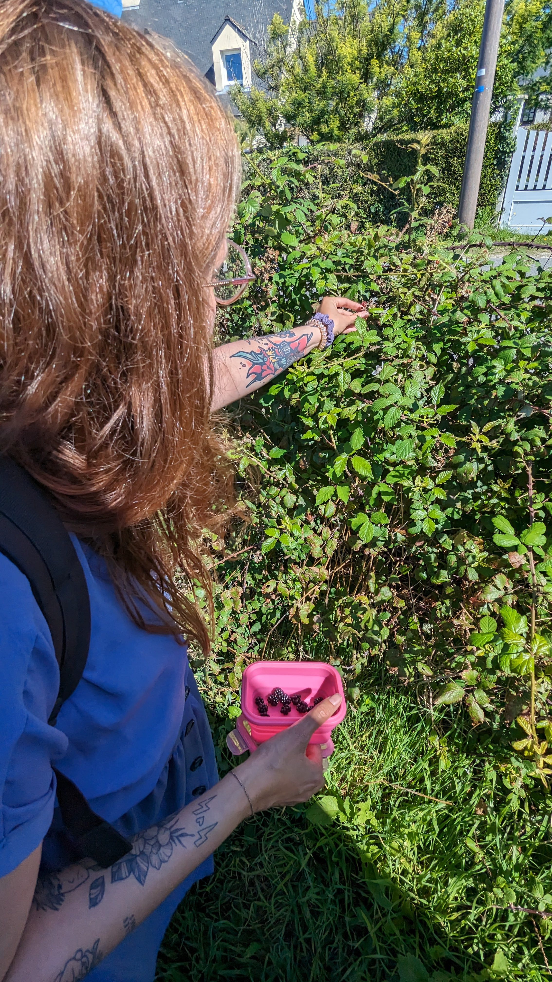 Chasseuse-cueilleuse