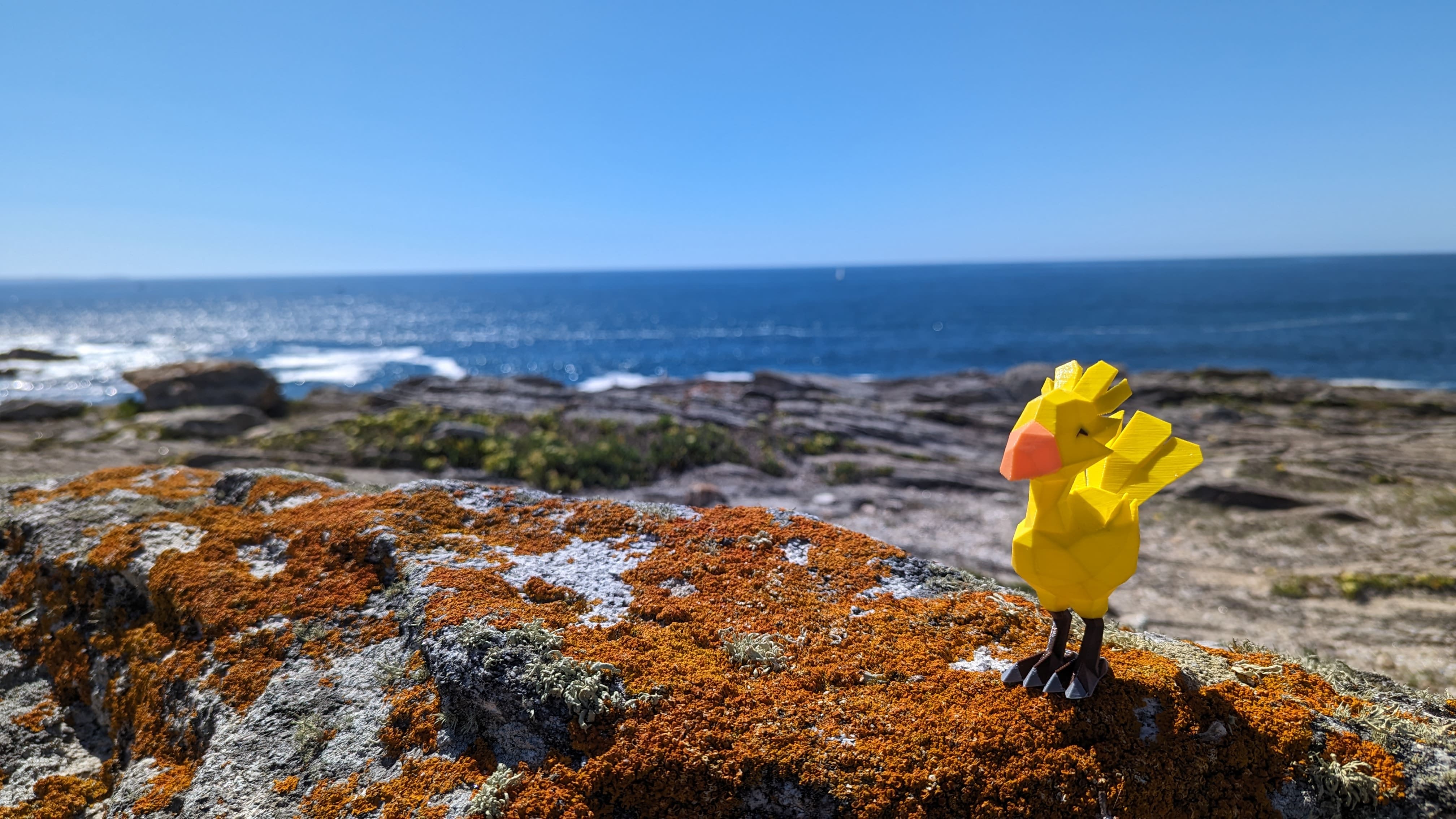 Mascotte sur la côte