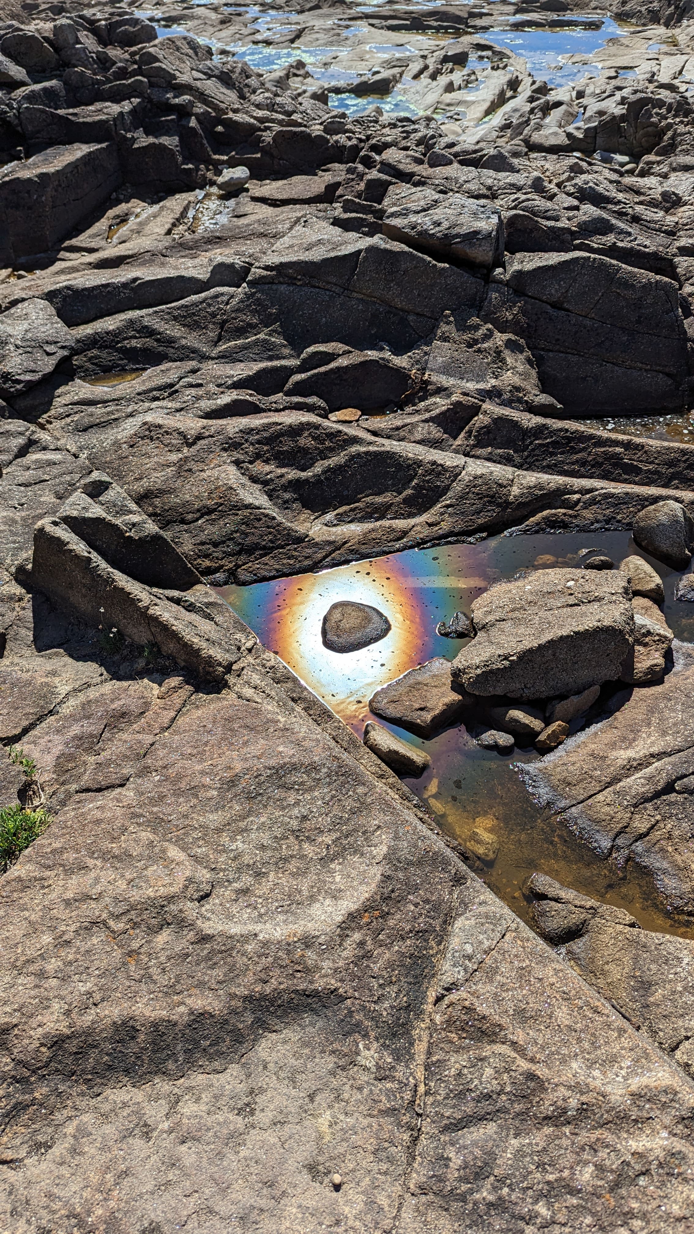 Garanti 100% sans trucage