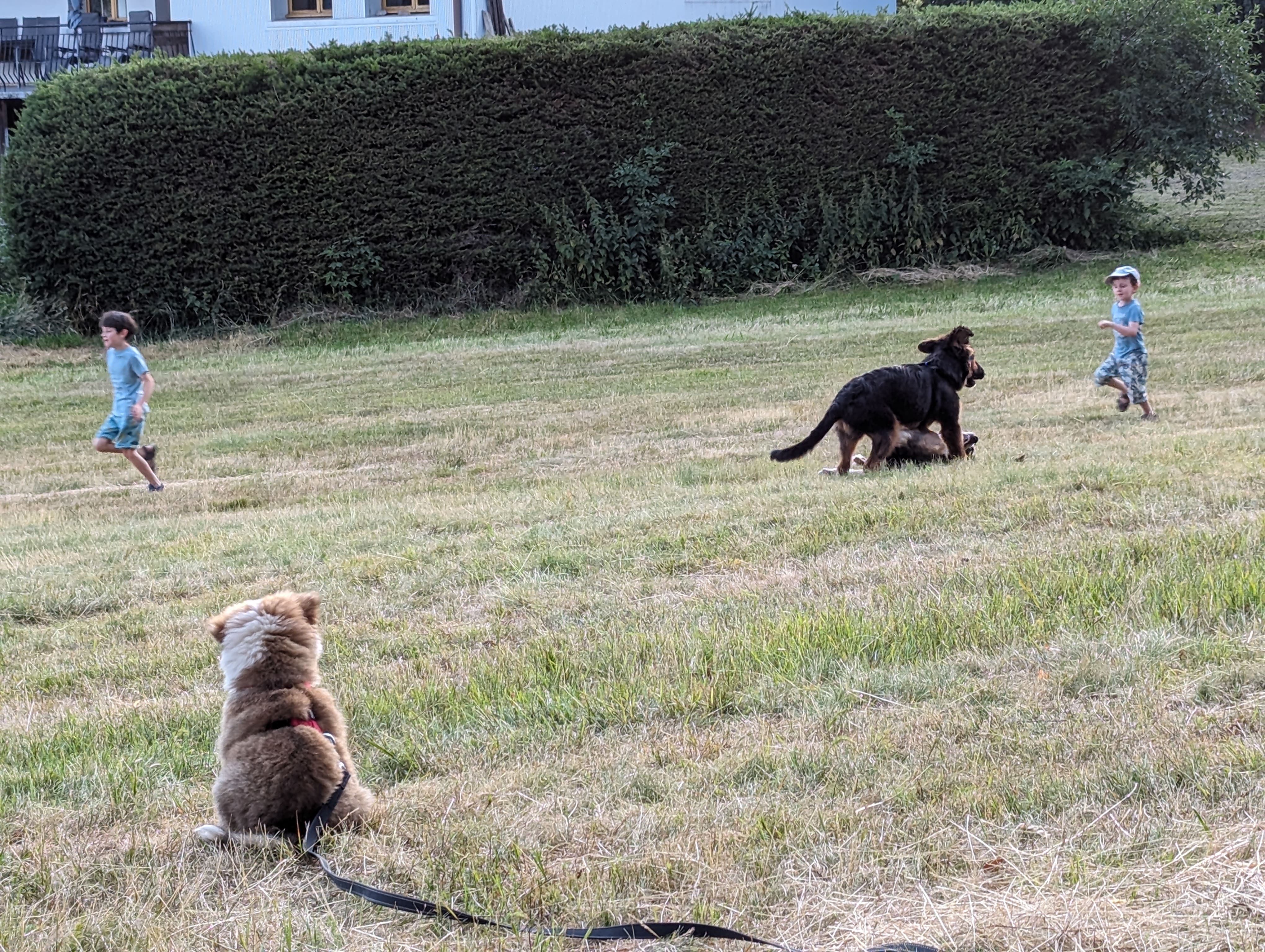 Spectacle en plein air