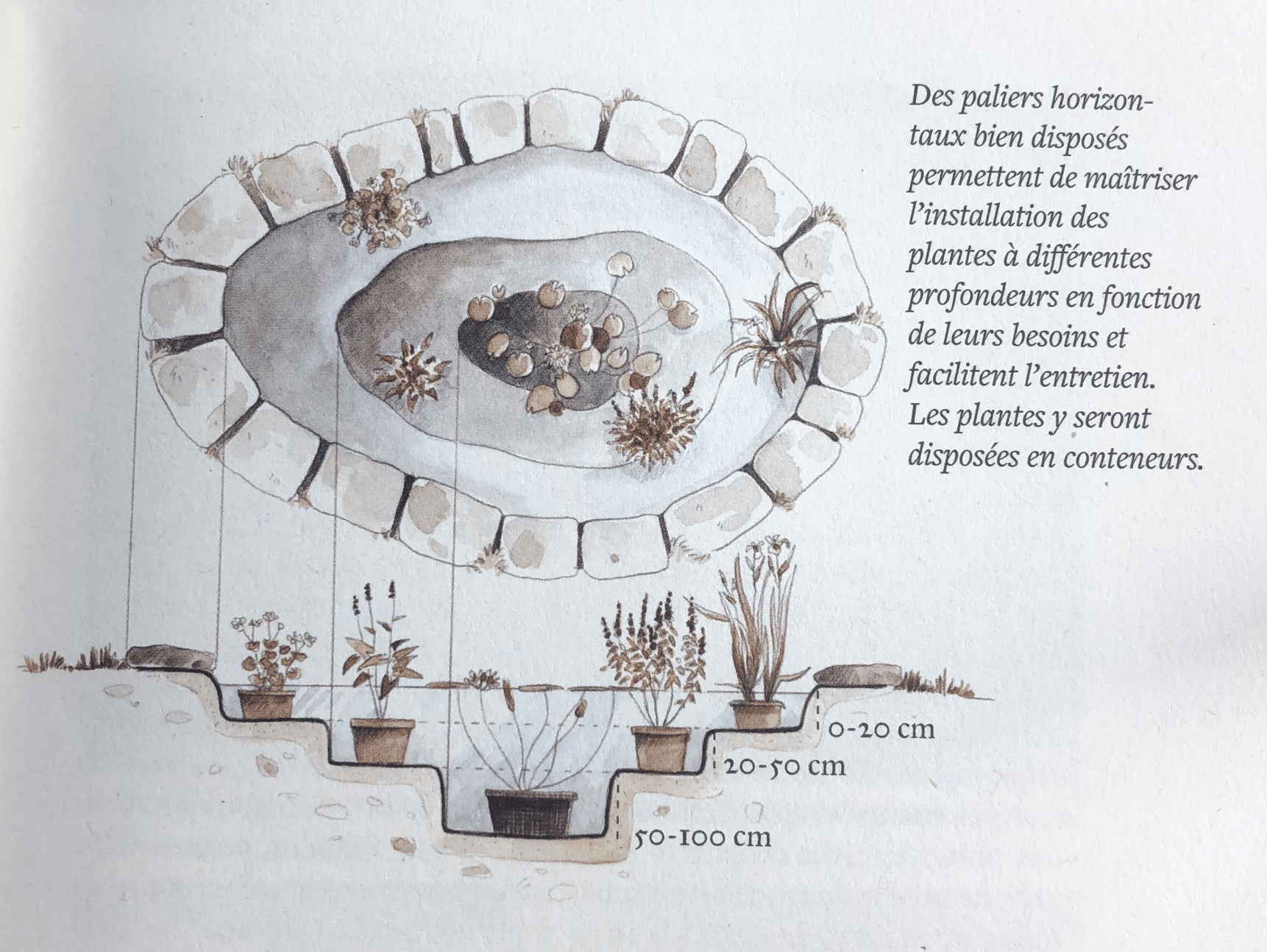 Extrait du livre "Créer une mare, un point d'eau un point d'eau, une baignade naturelle" 