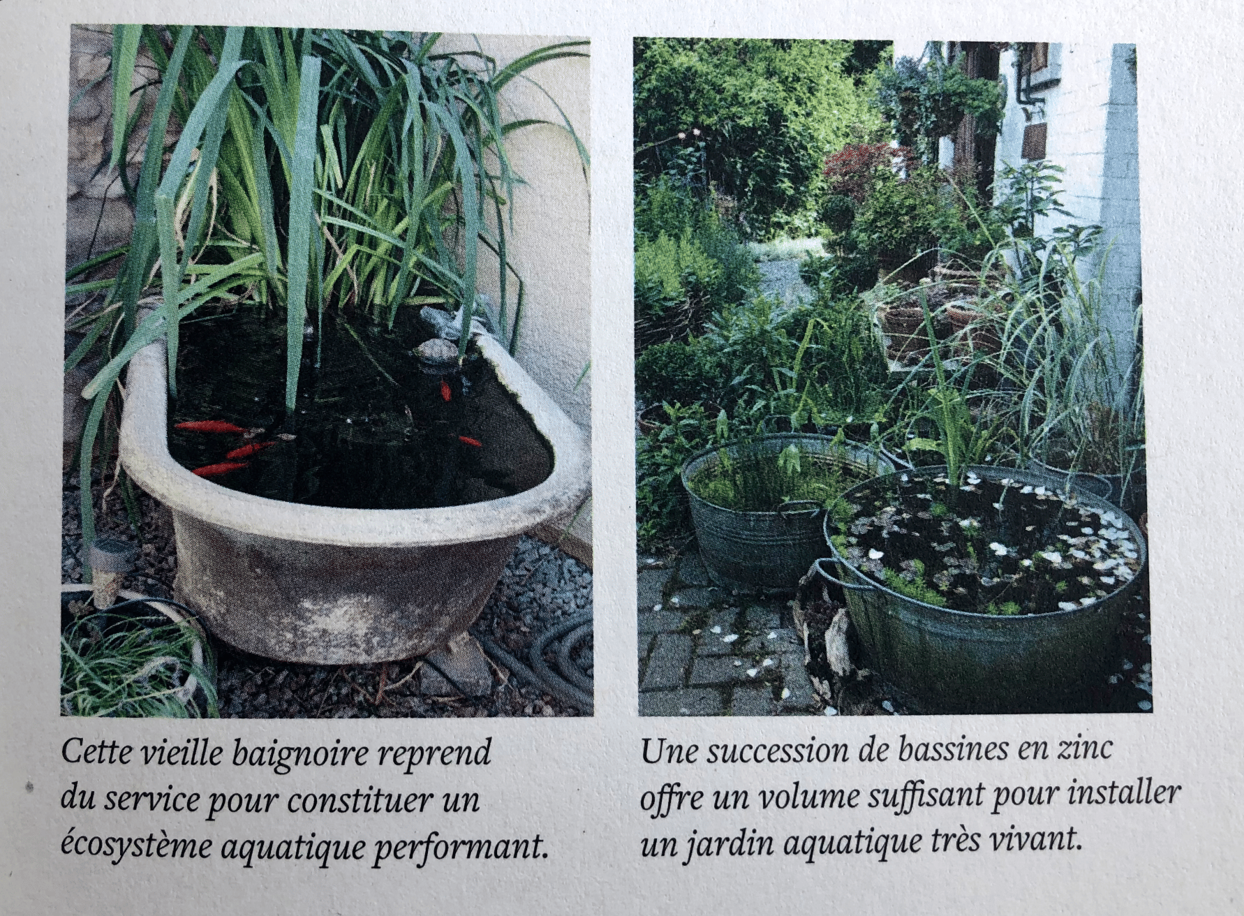 Extrait du livre "Créer une mare, un point d'eau un point d'eau, une baignade naturelle" 