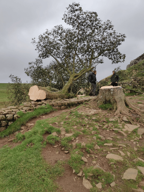 Photo : Twice Brewed Brew Co ; X (Twitter)