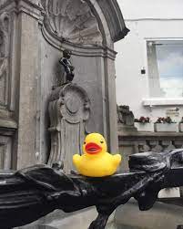 "Je suis le maître d'insta !"