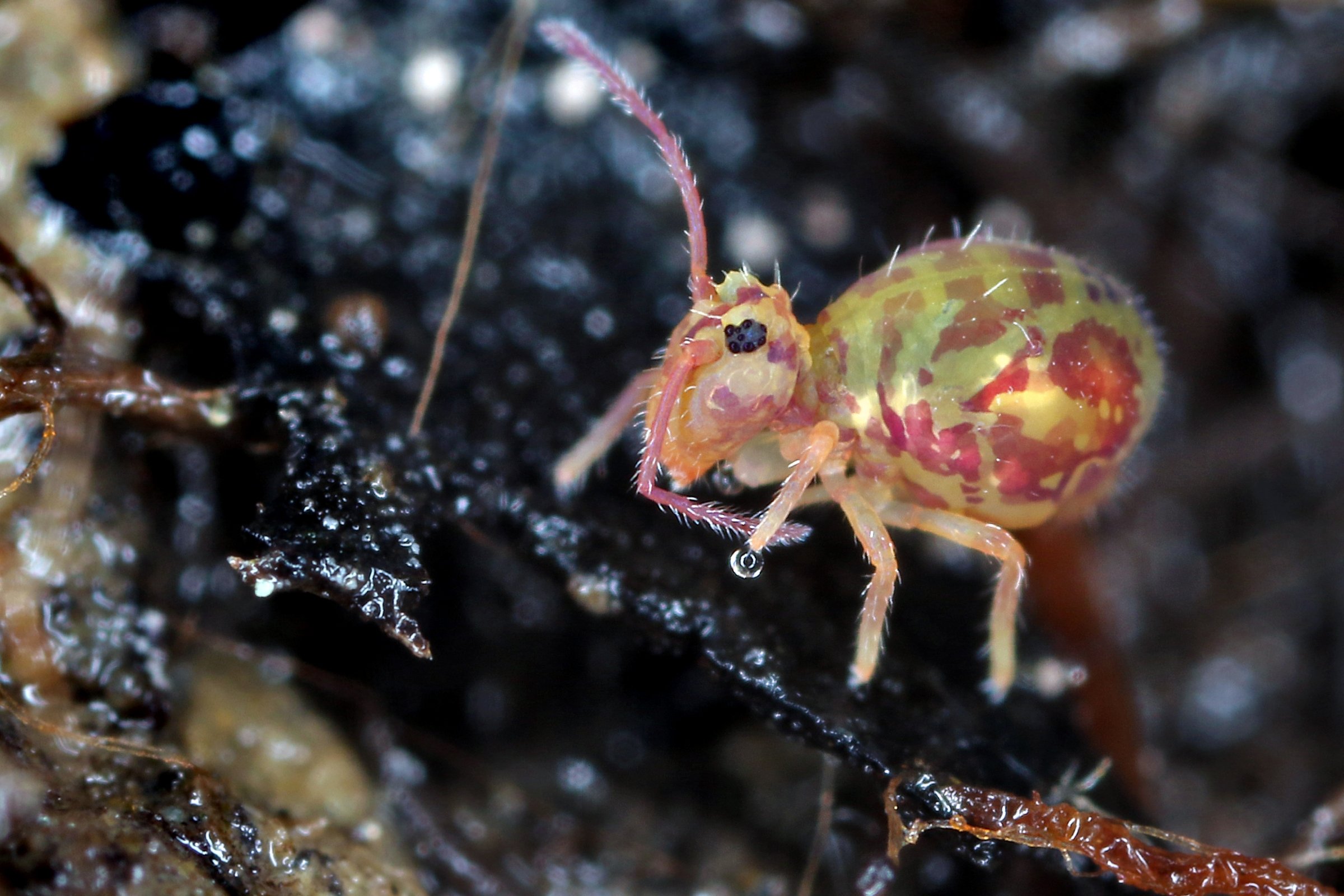 Tiens c'est quoi ce machin ?