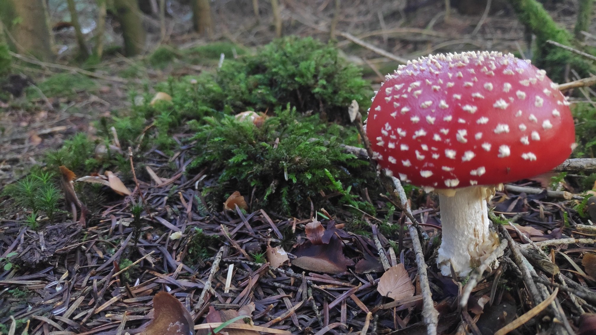 Le moment idéal pour se couvrir et sortir observer la Nature, ralentir.