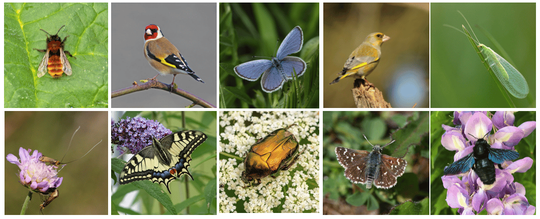 Il va y avoir du monde au jardin 