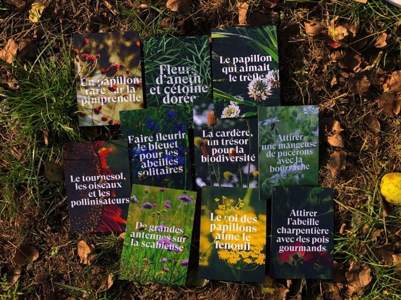 Les fiches "biodiv" et conseils culture qui sont dans le kit 