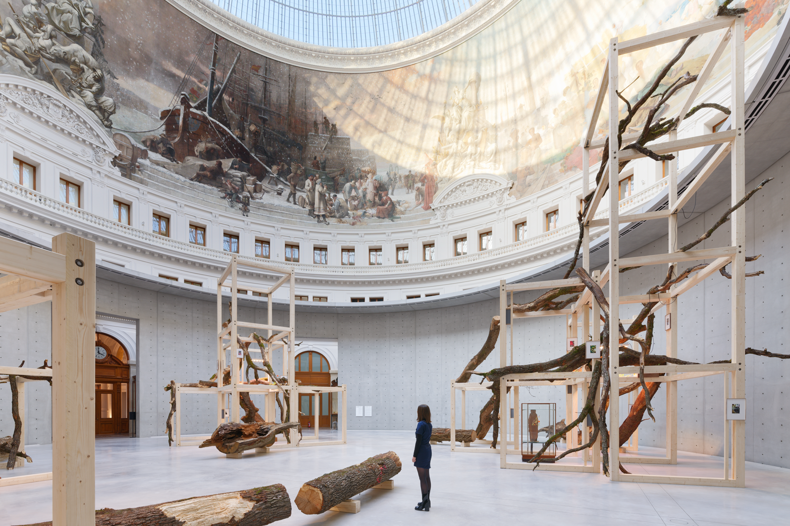 Dans la Bourse du Commerce de François Pinault, Danh-Vo,-Tropeaolum,-2023