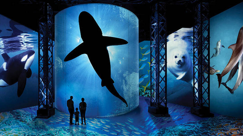 © Océans, l'Odyssée immersive