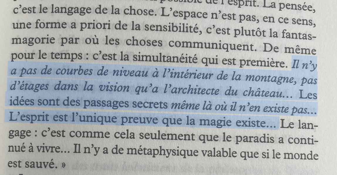 Il n'y a pas de courbes de niveau à l'intérieur de la montagne, pas d'étages dans la vision qu'a l'architecte du château... Les idées sont des passages secrets même là où il n'en existe pas... L'esprit est l'unique preuve que la magie existe...