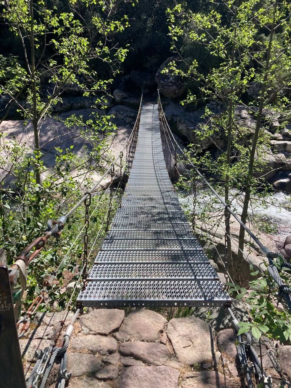 Forêt de Bonifato, Corse, Mai 2023