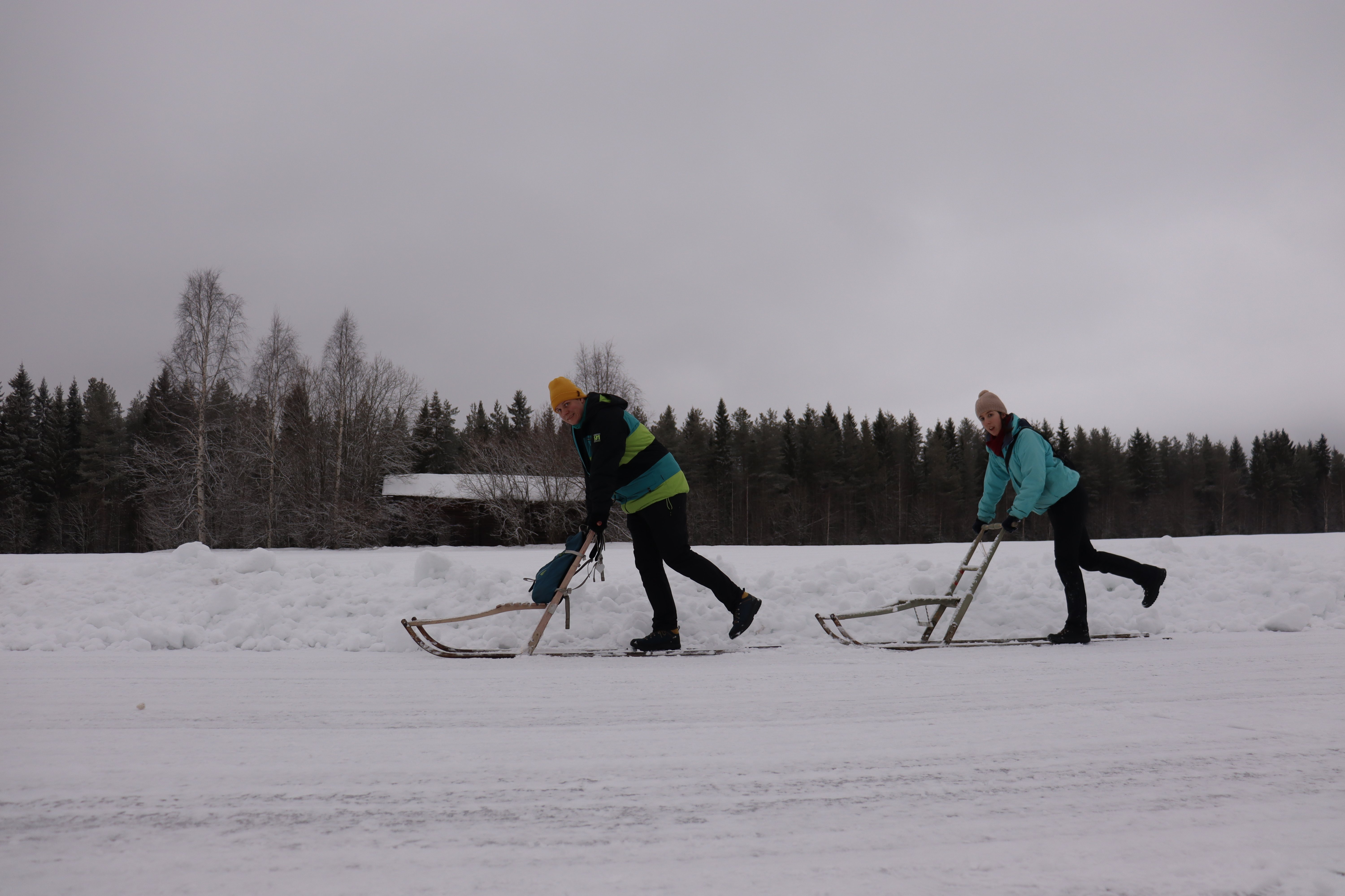 Transport insolite à Älsbyn