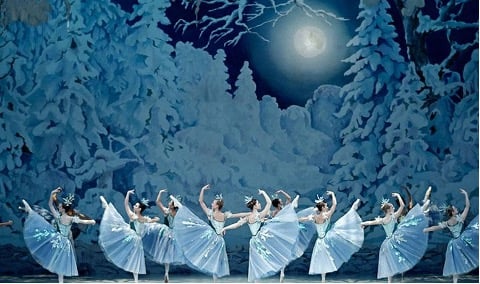 LE Ballet Casse-Noisette (Place des Arts, N. SICARD)