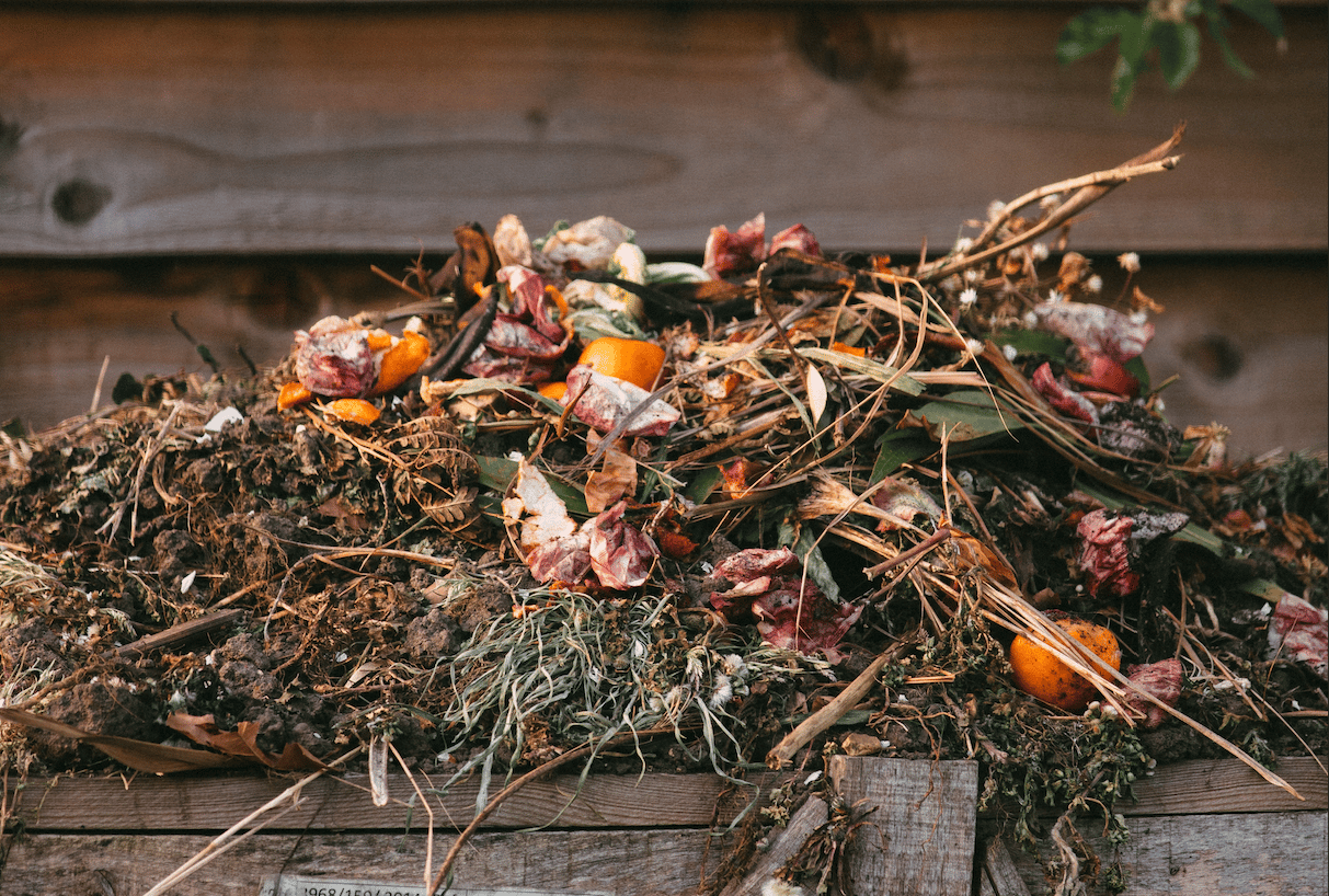 Que de variété dans ce compost © Edward Howell
