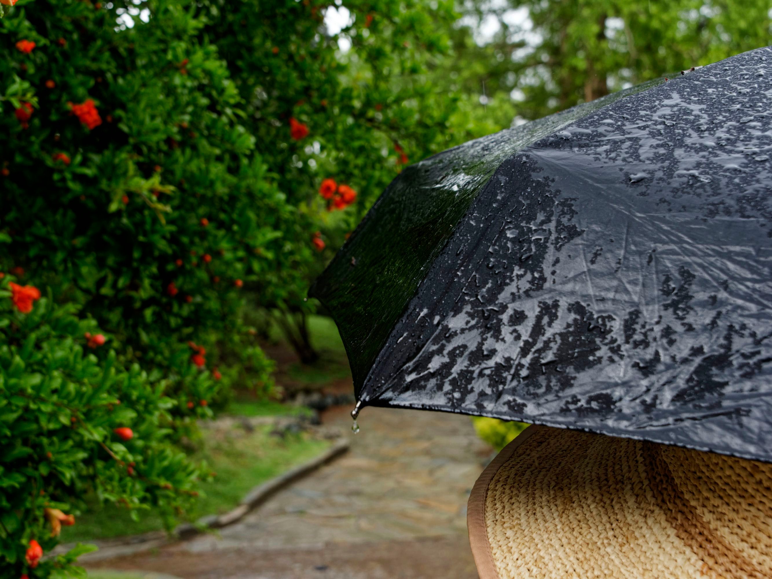 Au final, la météo aura hésité entre le soleil et la pluie, et du coup… nous aussi !