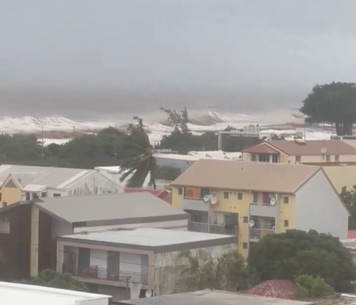 Image : Miel baies roses (X)