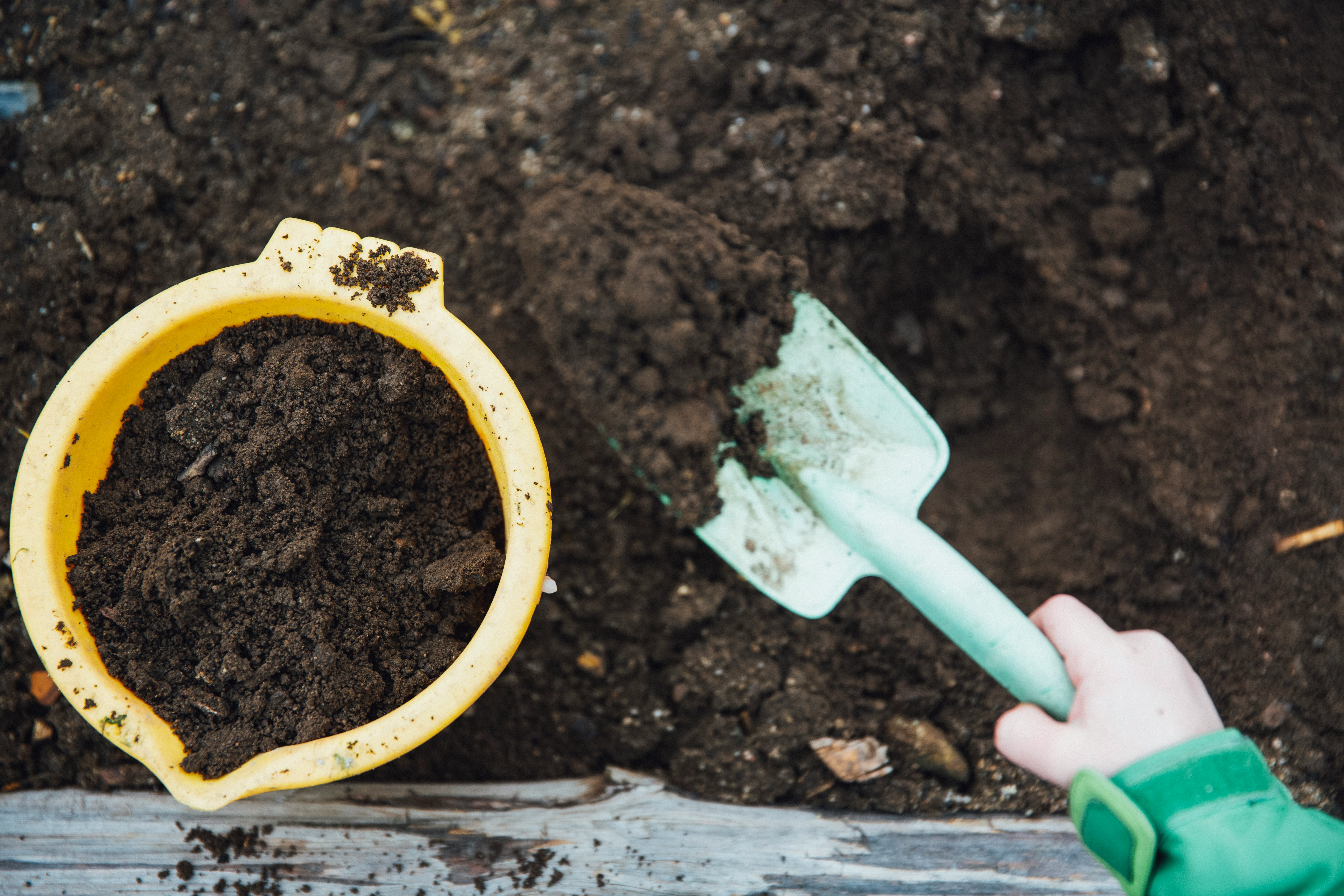 Compost bien mûr  © Markus Spiske