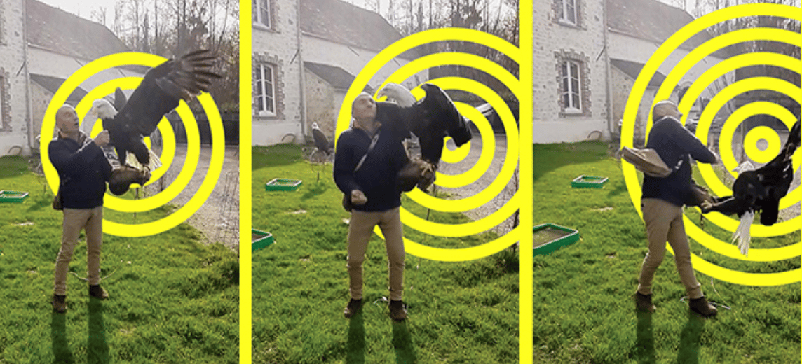 Pierre Cadéac assène un coup de point à un aigle, attaché à son bras. (visuel issu de notre enquête Vakita) 