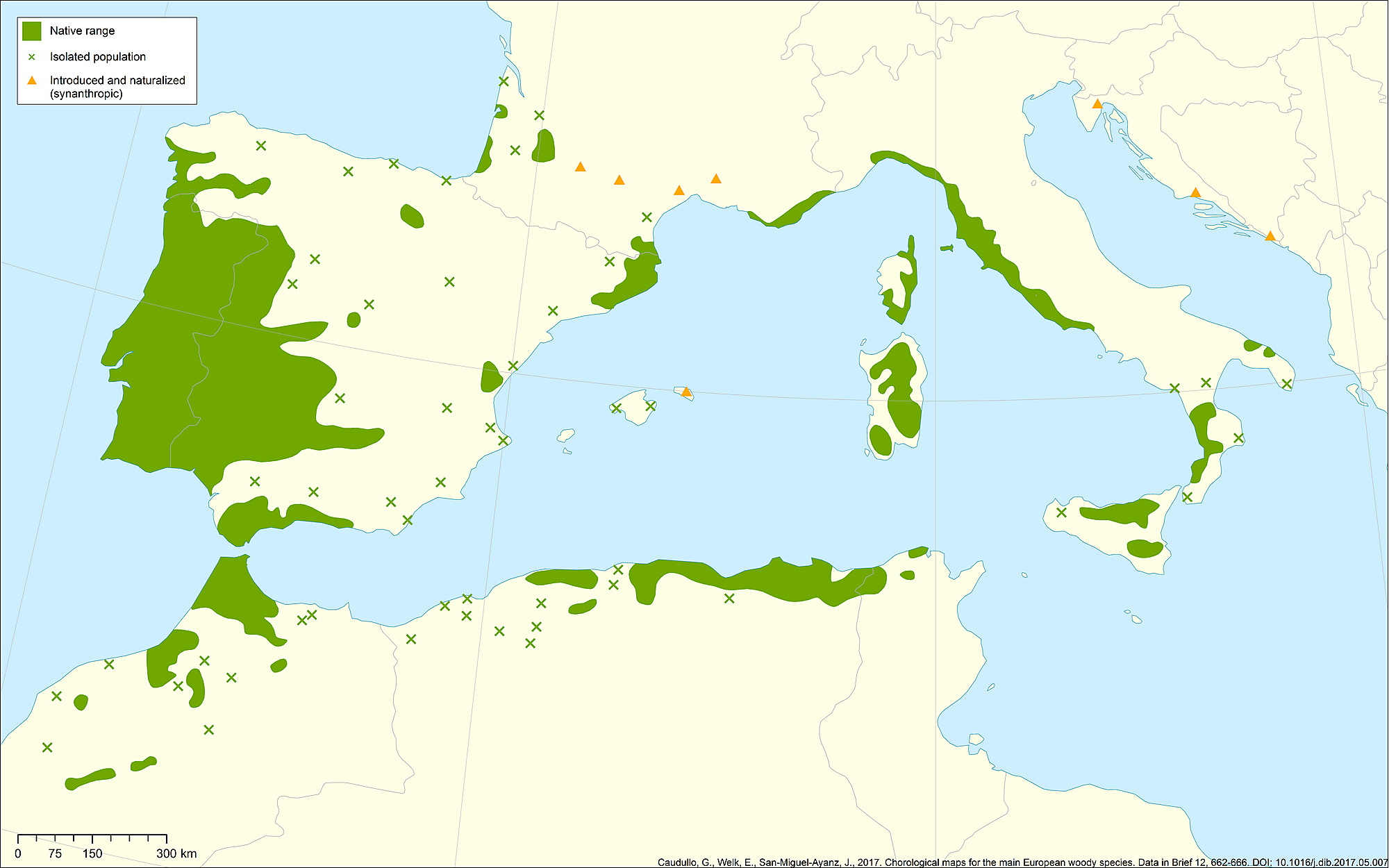Voici une carte de l'expansion du chêne liège en méditerranée et sur le littoral atlantique. source : Figshare