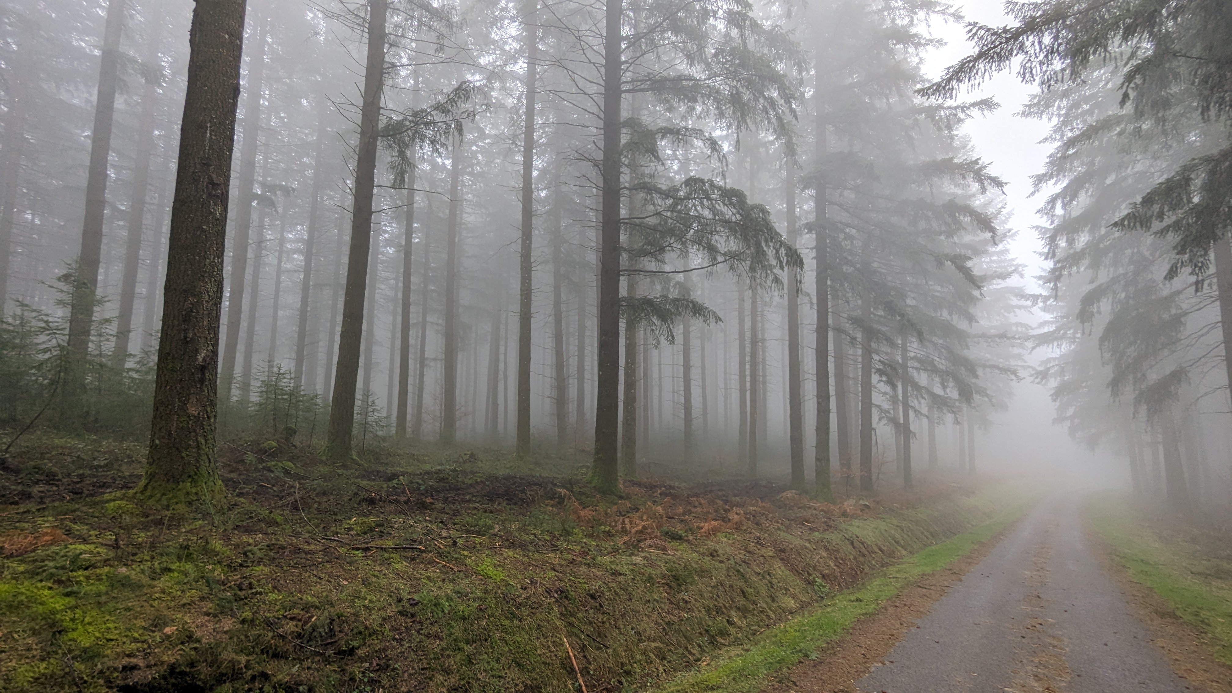 Le chemin brumeux pour arriver à un village abandonné depuis plusieurs dizaines d'années...