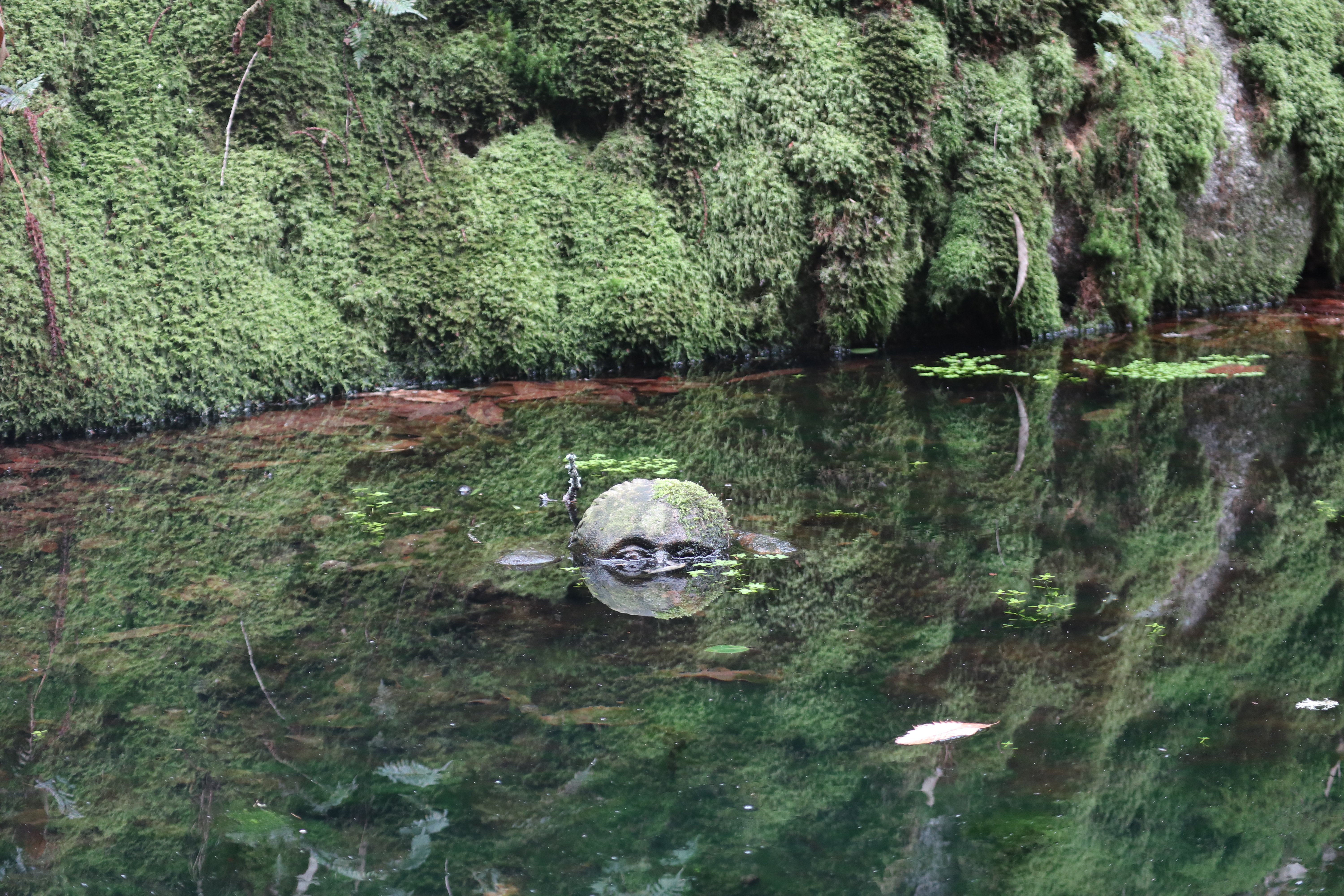 Une statue un peu flippante dans la fontaine du village.