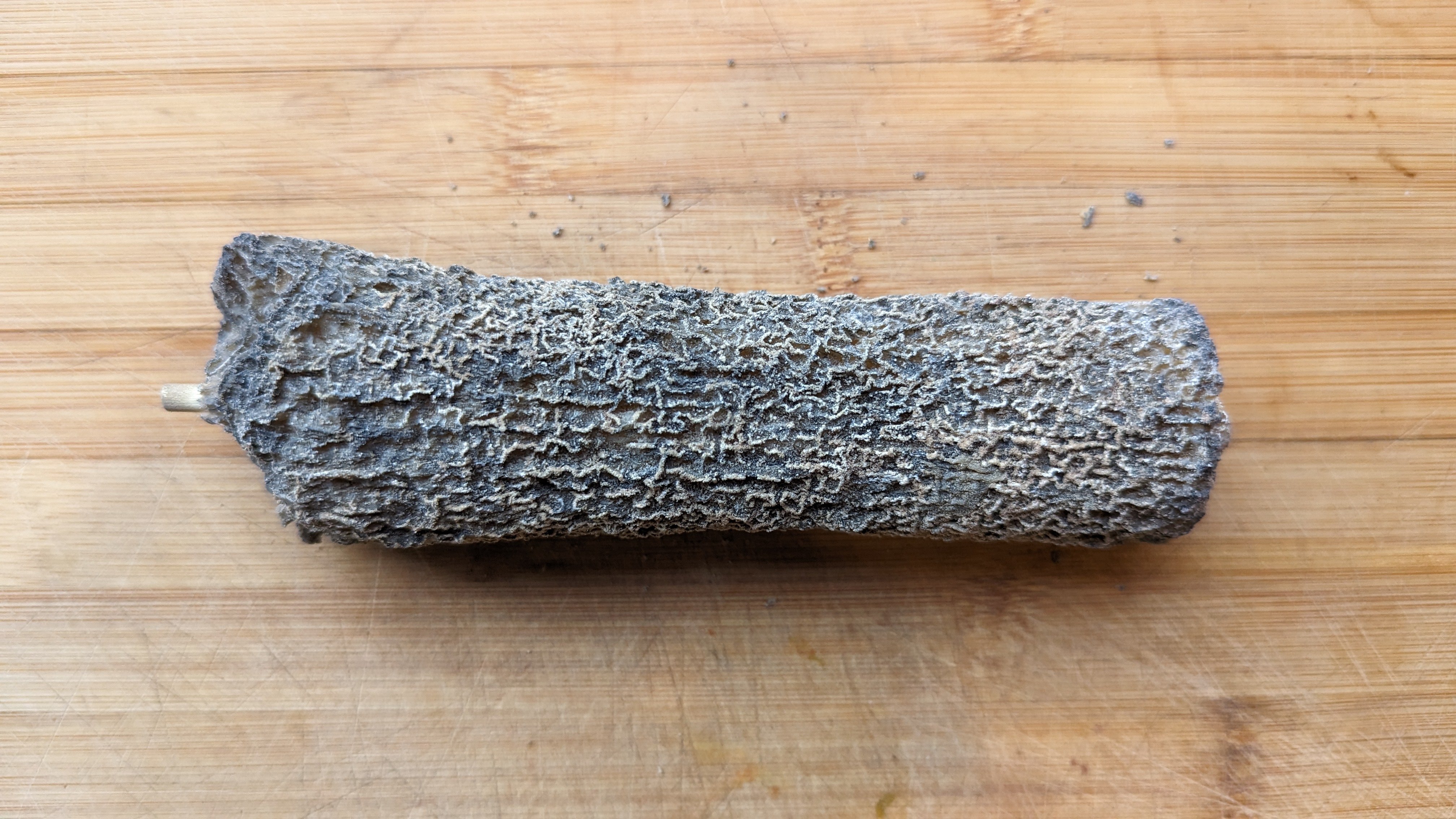 On a été à Sainte-Maur-de-Touraine dans une exploitation agricole et on est repartis avec cette magnifique bûche d'au moins un an. Elle n'a pas tenu deux jours.