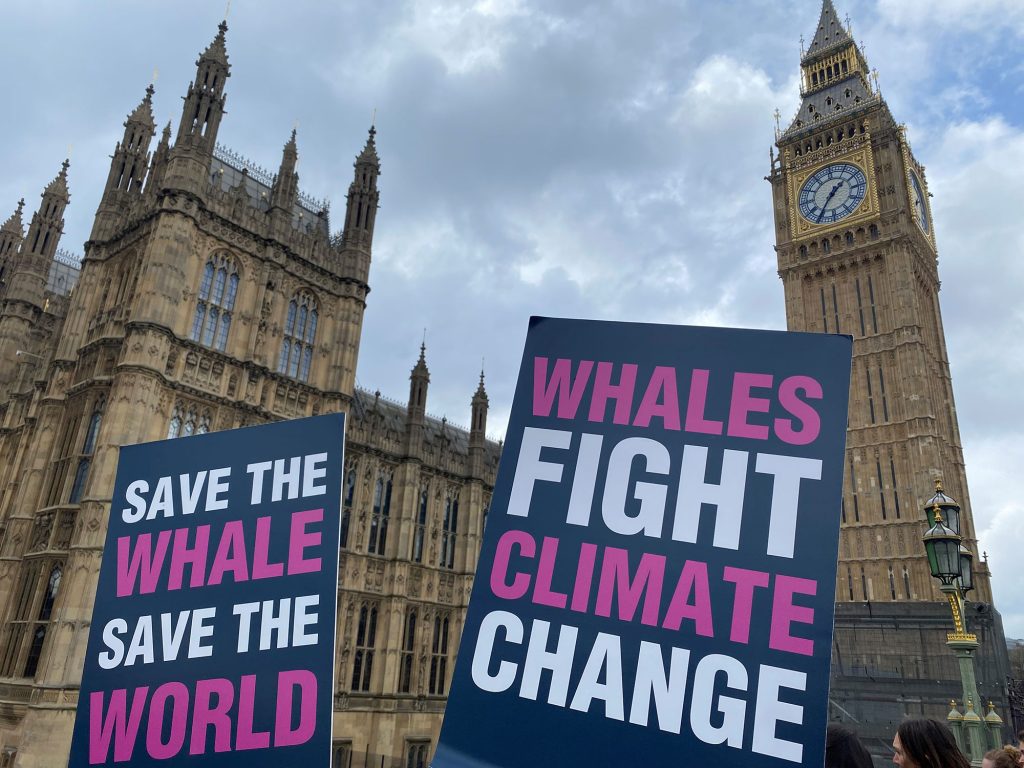 «&nbsp;C’est bon, calmez-vous, on n’utilise plus des baleines. Pour préserver l’environnement on met du plastique à la place.&nbsp;»
