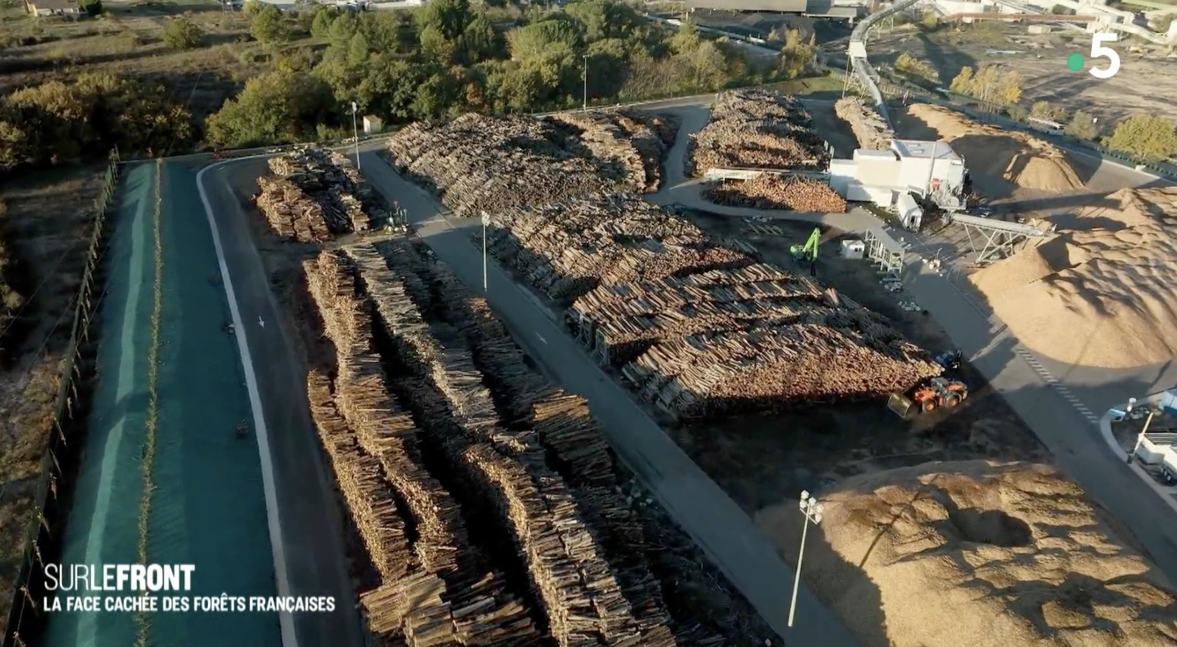 Des milliers de troncs d'arbres attendent d'être transformés en copeaux et brûlés, sur le site de Gardanne. (image Sur le front, Winter Productions)