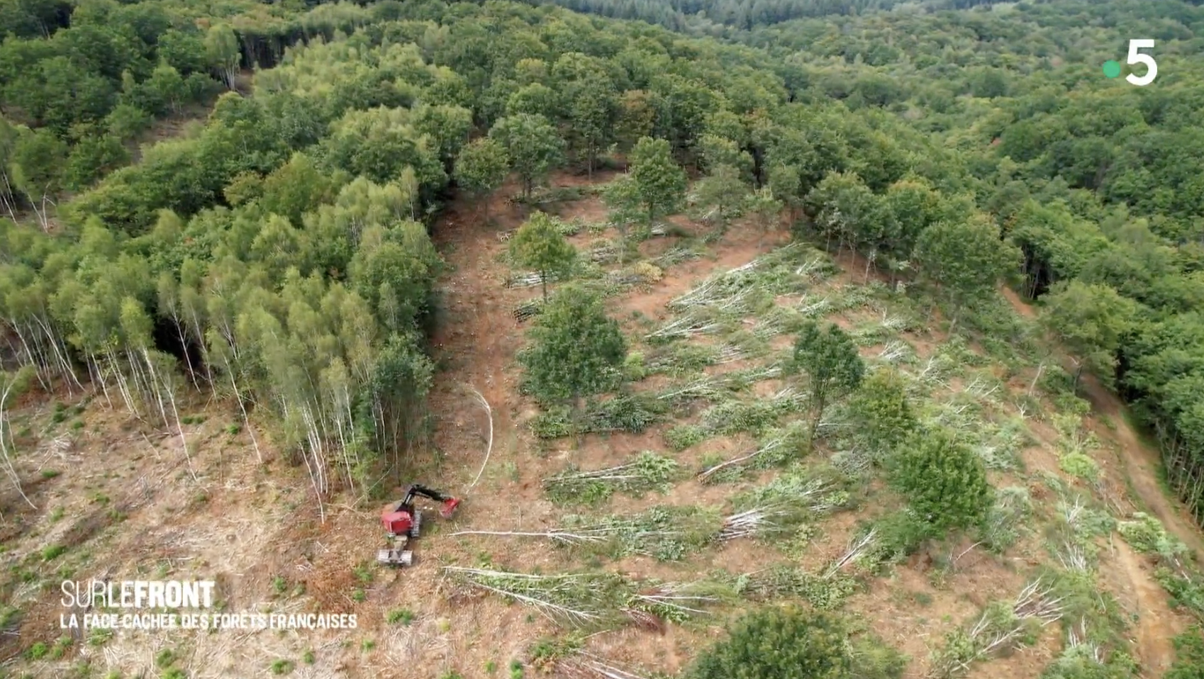 Une abatteuse en action sur une parcelle de Dordogne. (image Sur le front, Winter Productions)