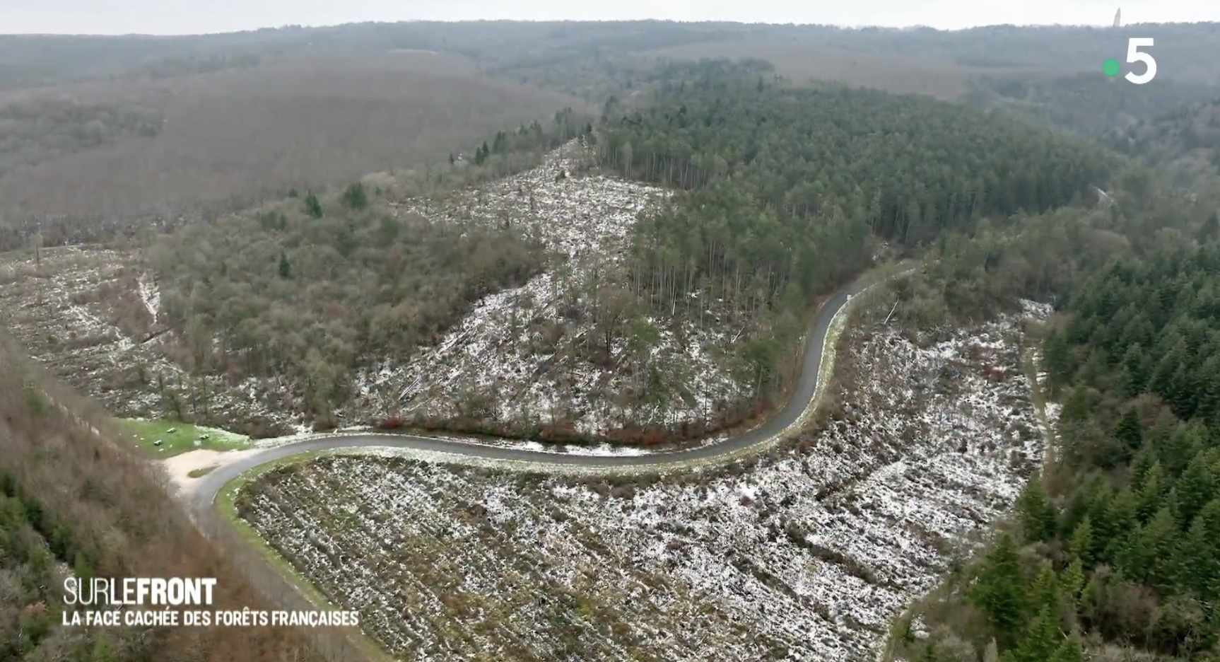 Une parcelle dans la Meuse, où les opérations de plantation ont échoué trois années de suite. (image Sur le front, Winter Productions)