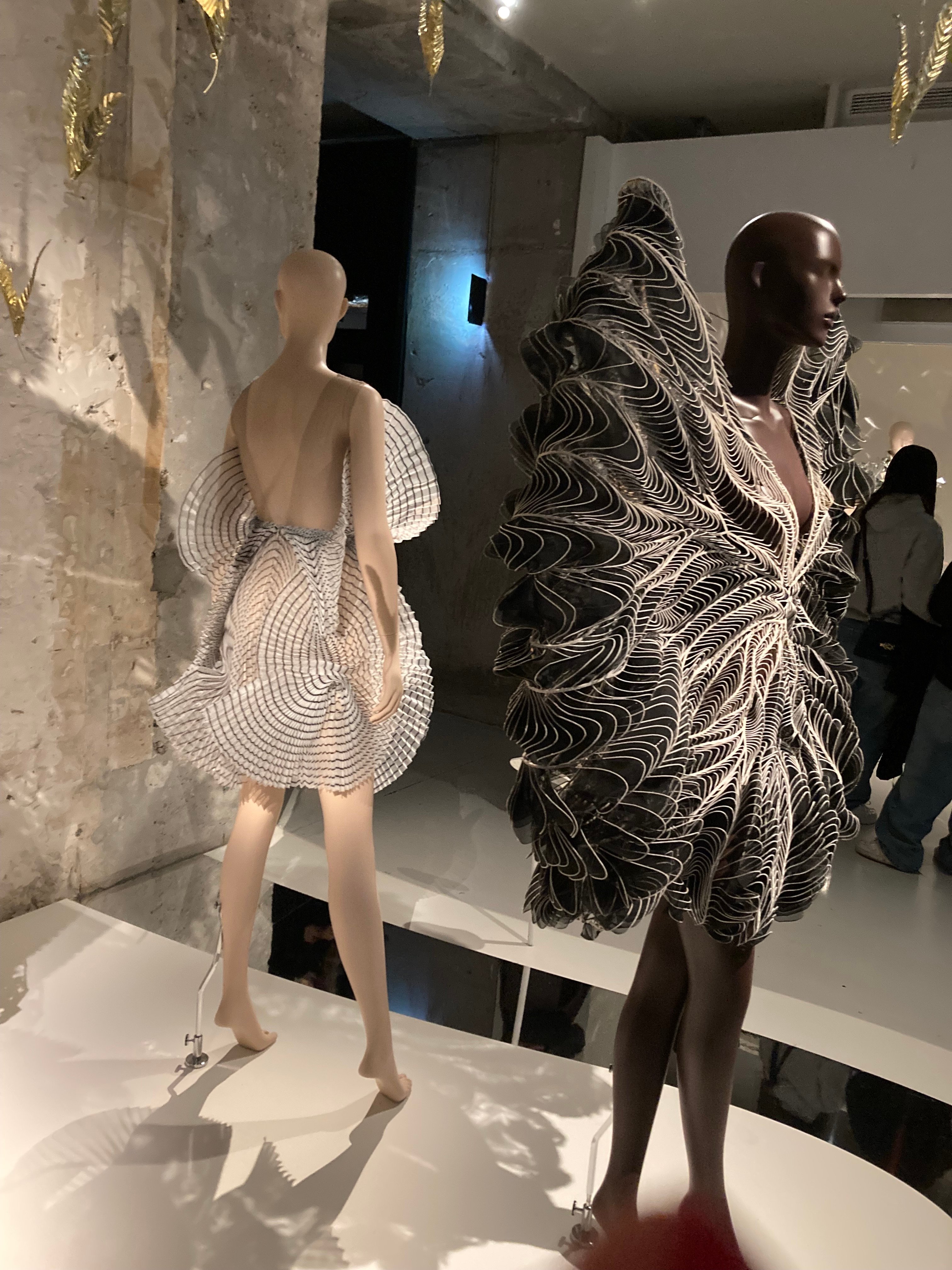 Dans l'expo Iris van Herpen