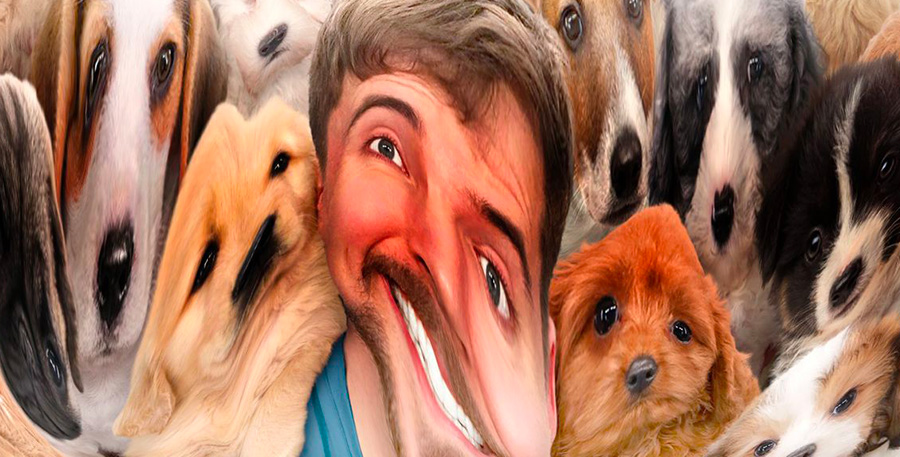Ça c'est de la bonne thumbnail // © Polygon