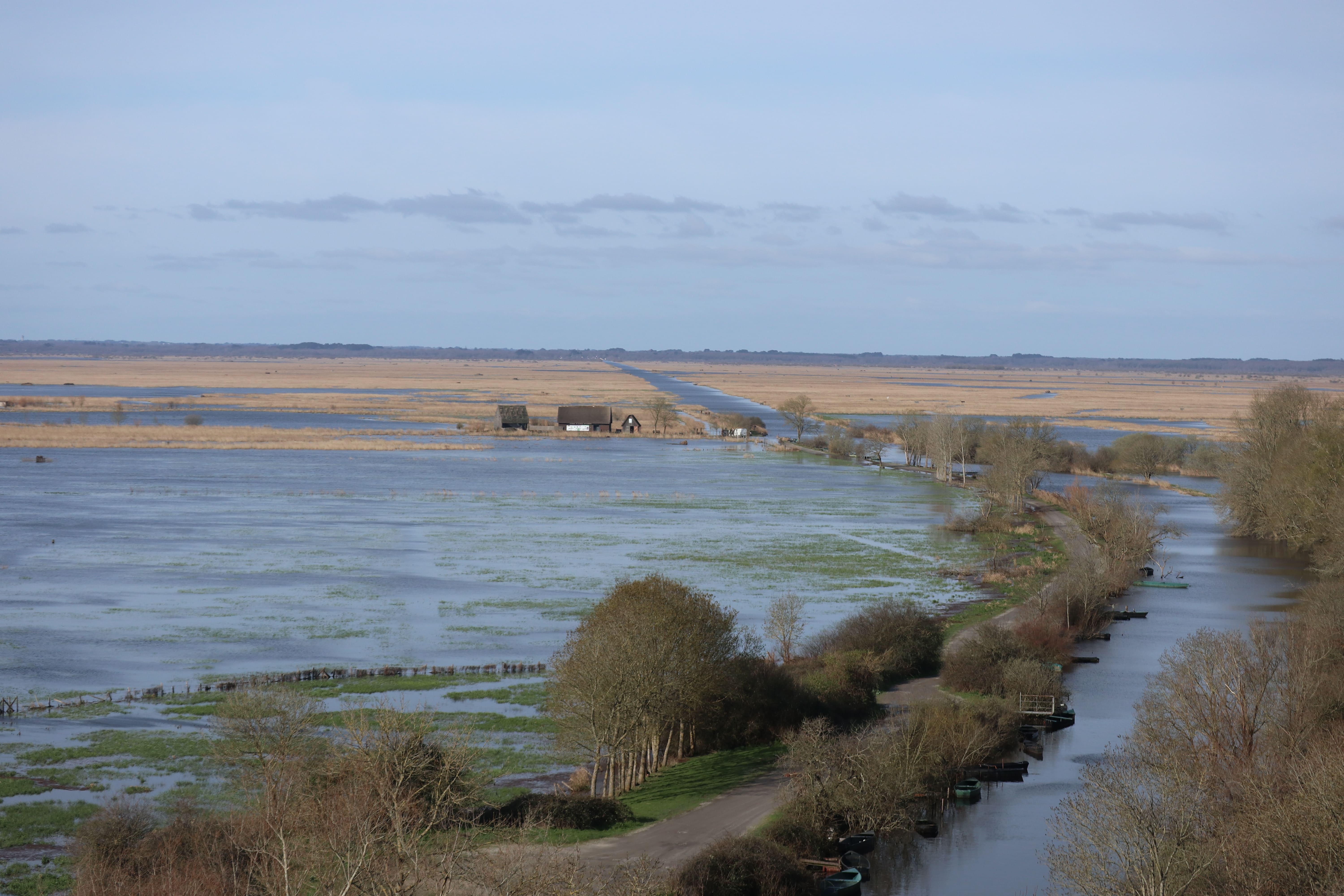 Deuxième plus grand marais de France après la Camargue, cet endroit immense abrite une faune et une flore assez dingues.