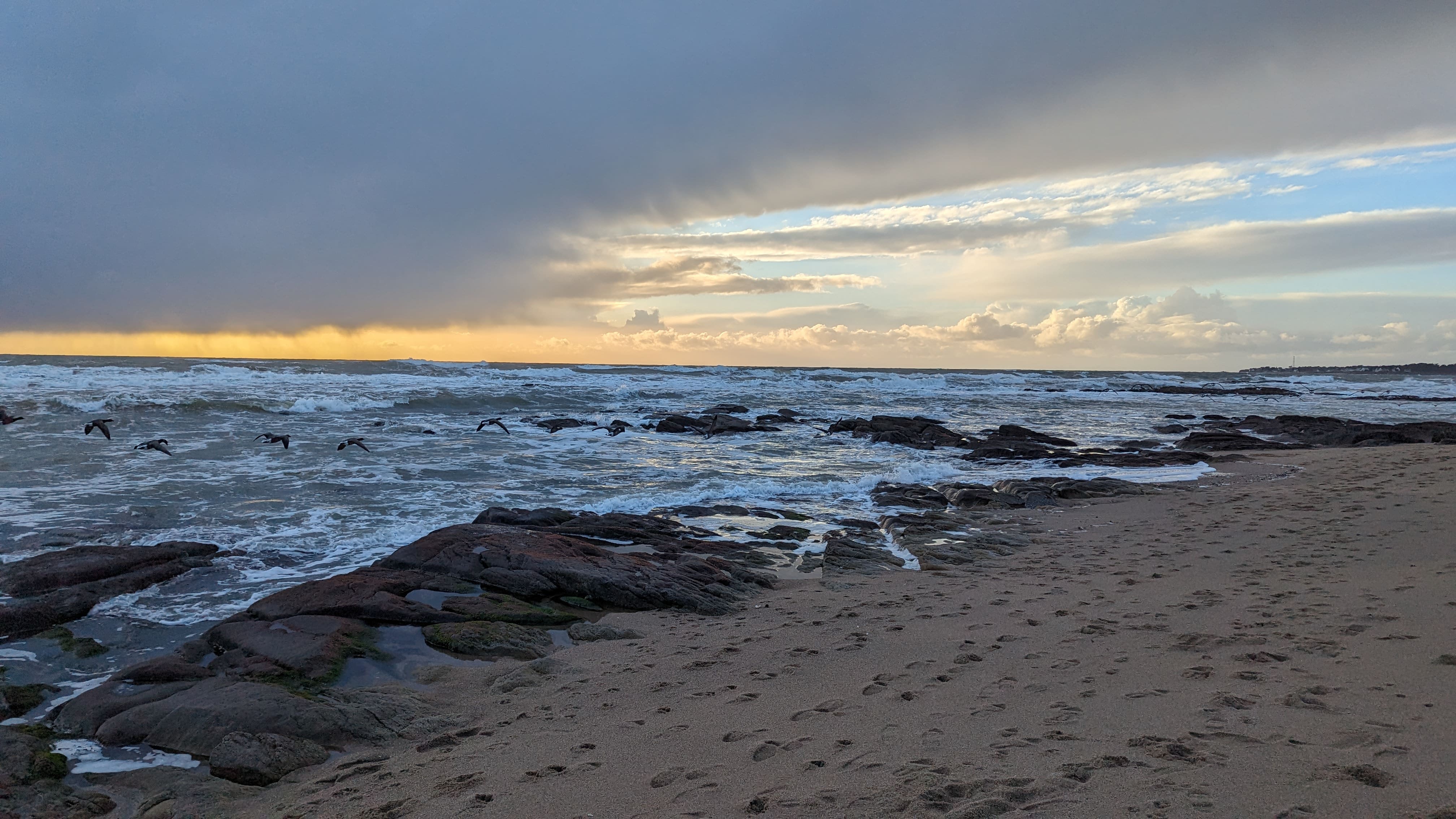 Parce que les oiseaux semblent devenir des rochers.