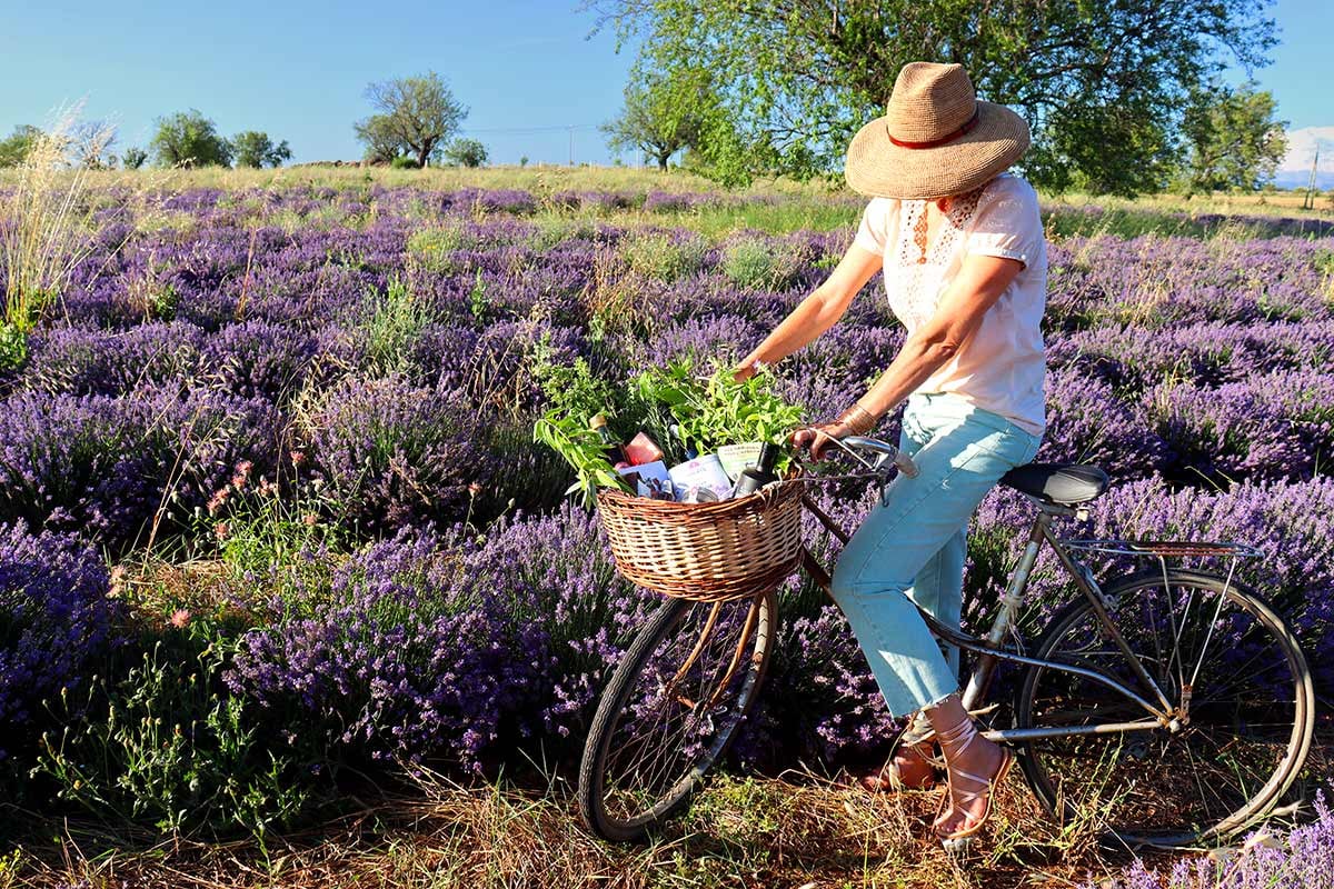 Une pause sur la route des Saveurs et Senteurs de Haute-Provence © DR