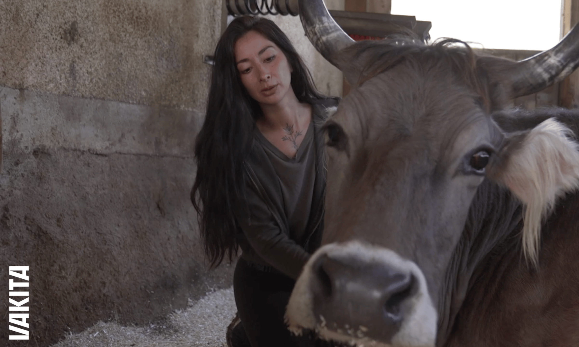 Virginia Markus et Fortuna, une vache laitière sauvée d'une mort certaine. (image Vakita)