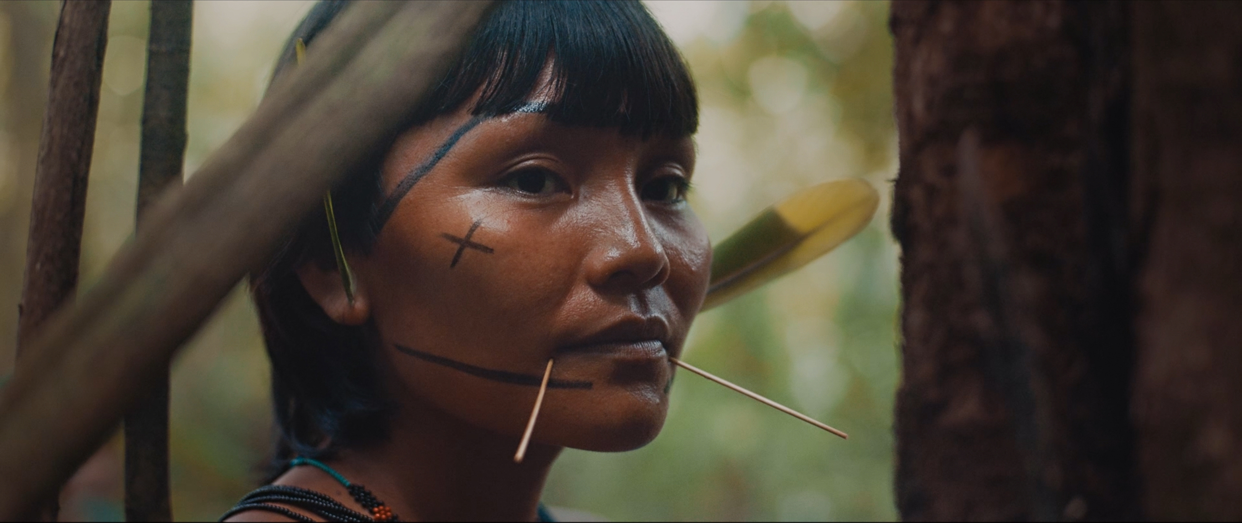 The Last Forest (2021)