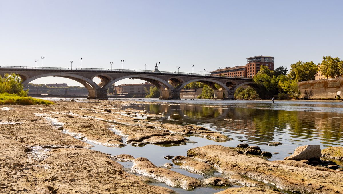La Garonne atteint des niveaux extrêmement bas à Toulouse pendant l'été. (photo Mairie de Toulouse)