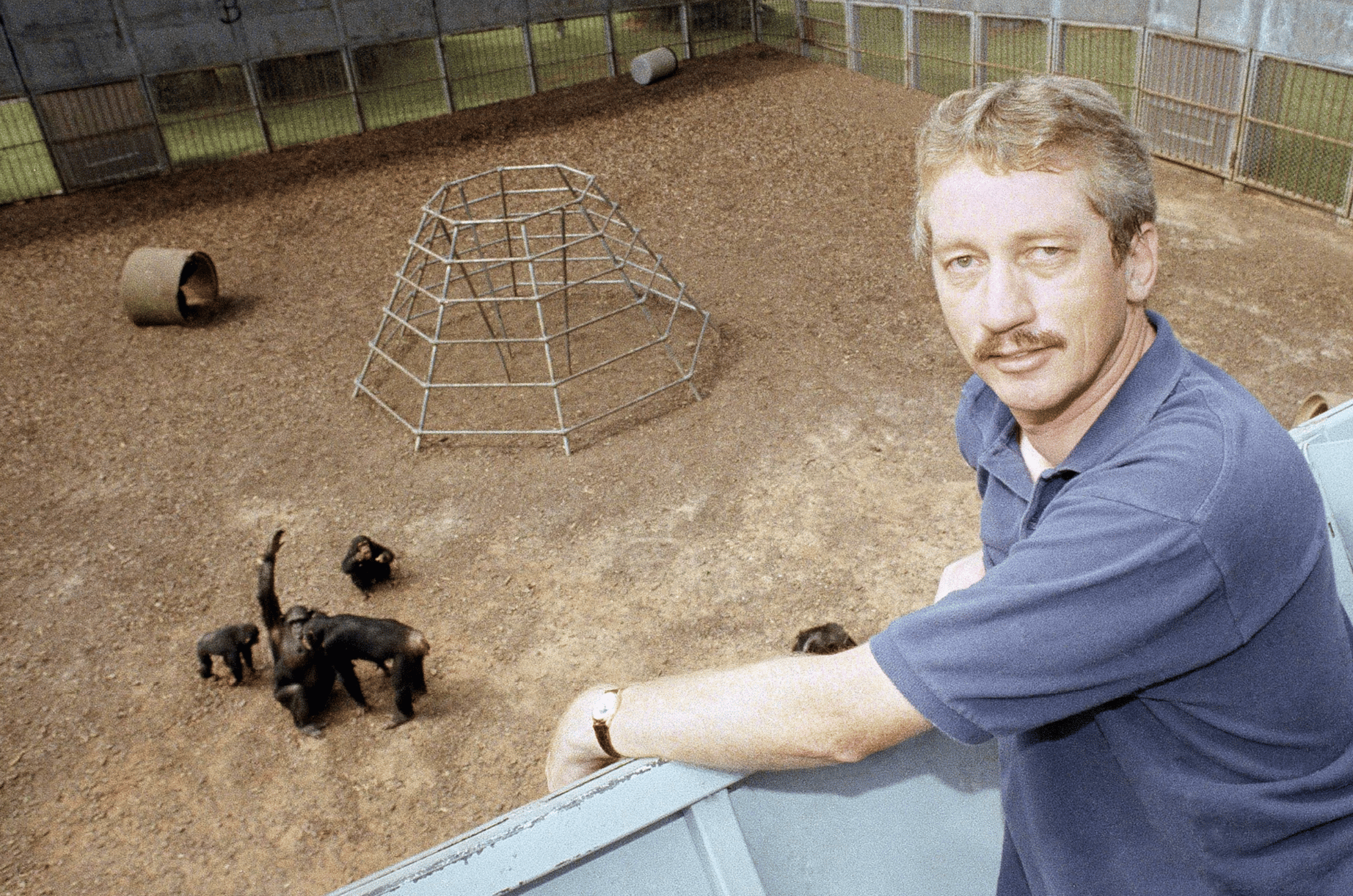 Frans de Waal en 1991, aux États-Unis. (photo Erik Lesser)