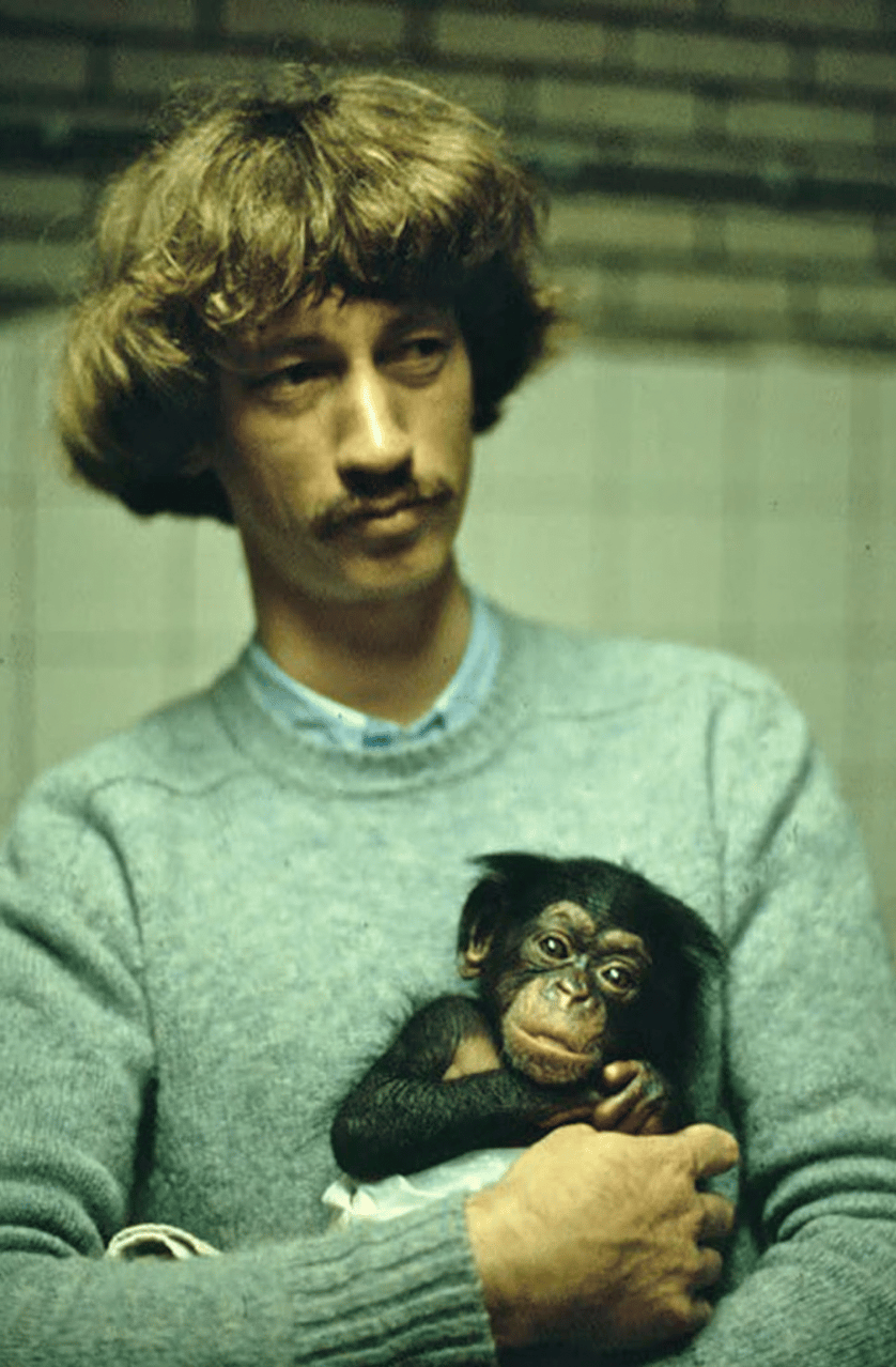 Frans de Waal en 1979 aux Pays-Bas, avec un bébé chimpanzé. (photo Desmond Morris)