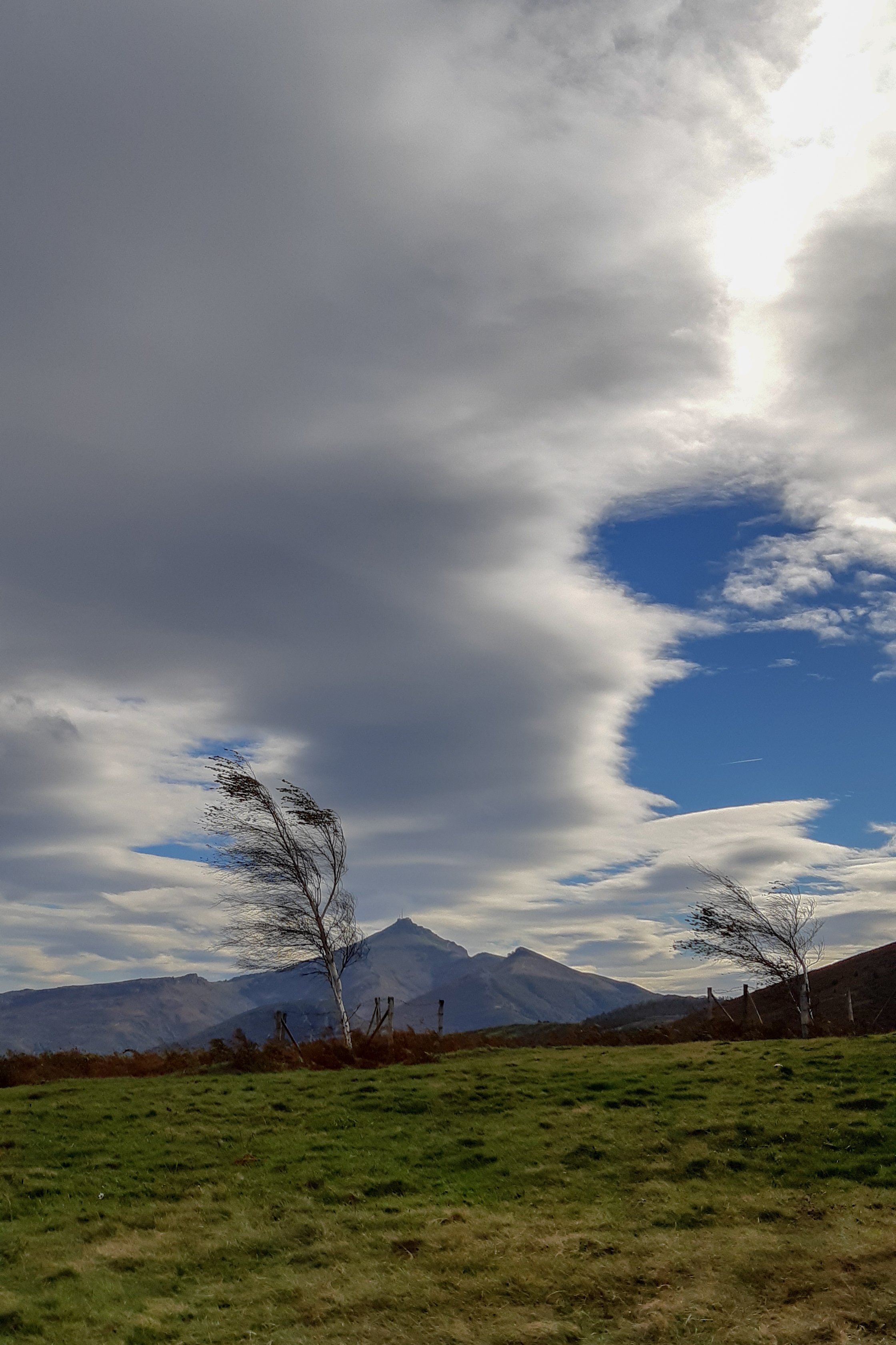 Photo : Gabriella Tamas