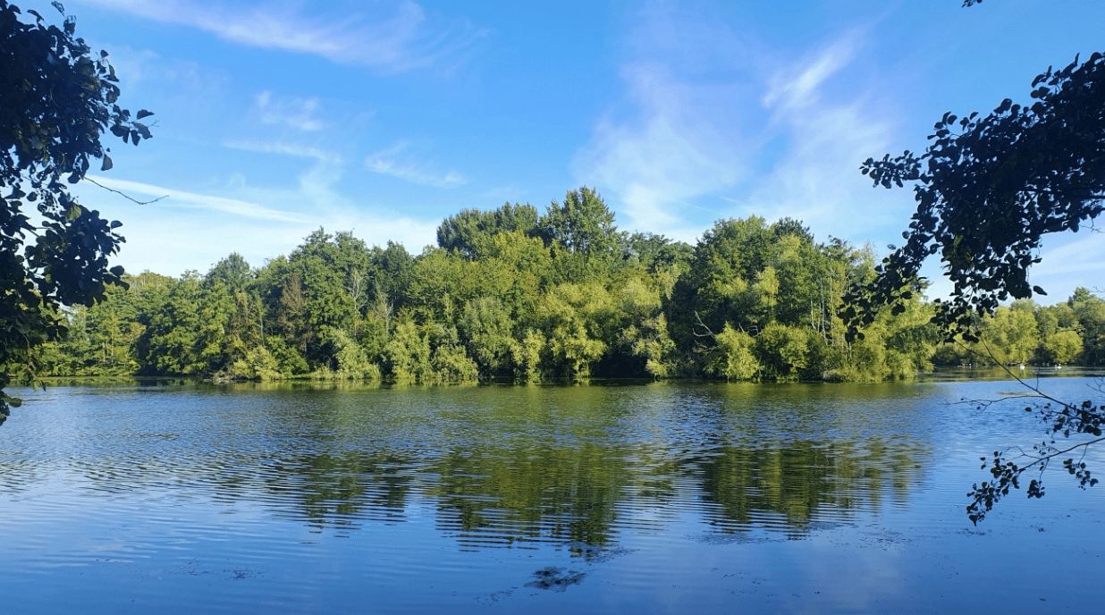 Le parc du Pâtis et ses étangs, une zone fragile, protégée et riche en biodiversité. 
