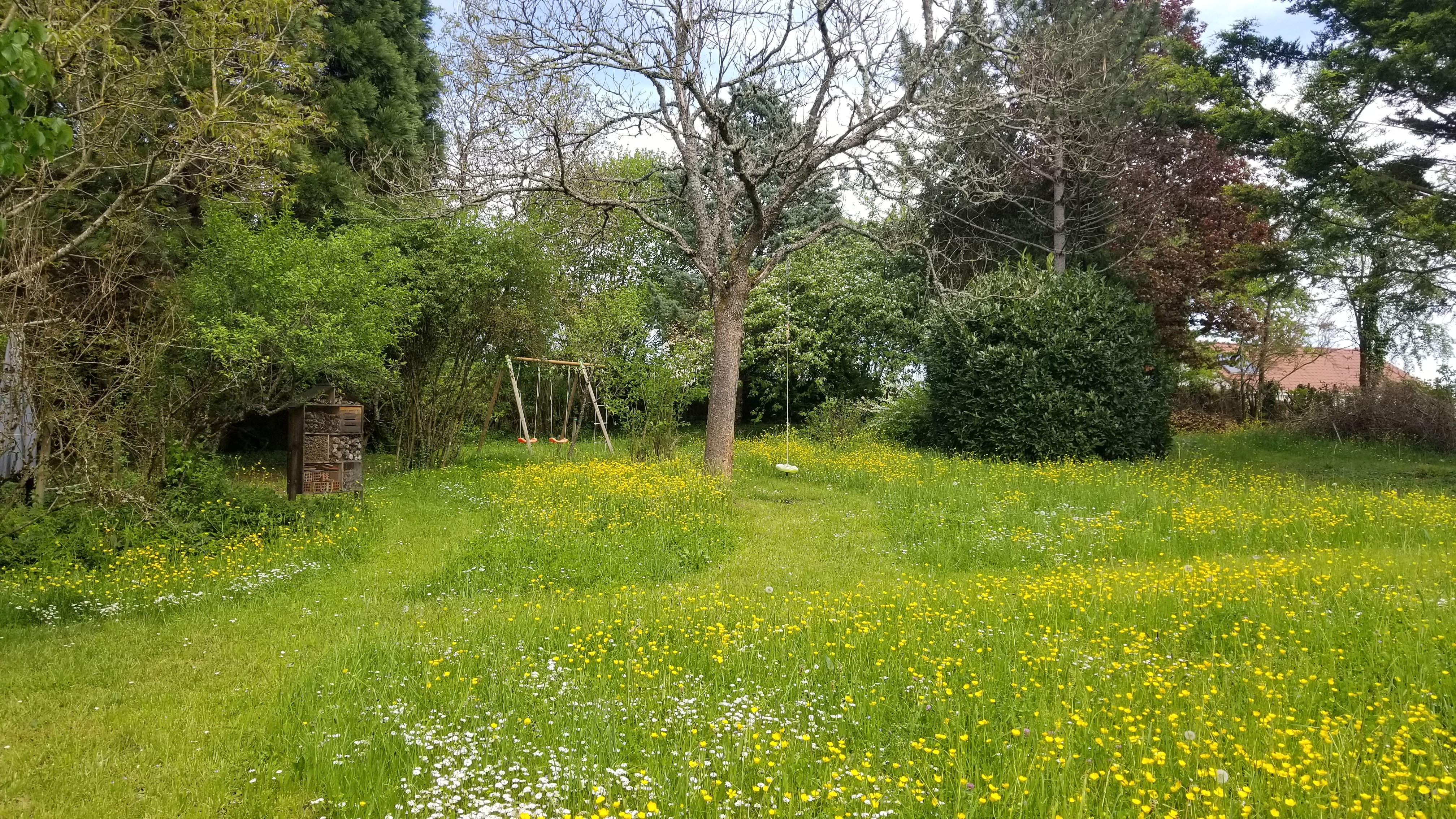 Le magnifique jardin de Magali, en Bourgogne, avec quelques chemins tondus pour pouvoir circuler. 