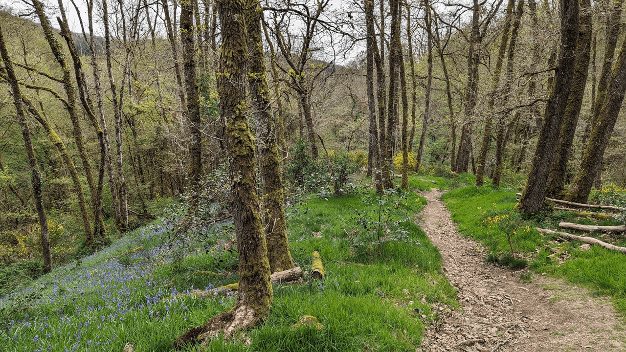 Un chemin pas très long mais vraiment dépaysant, avec beaucoup de couleurs.