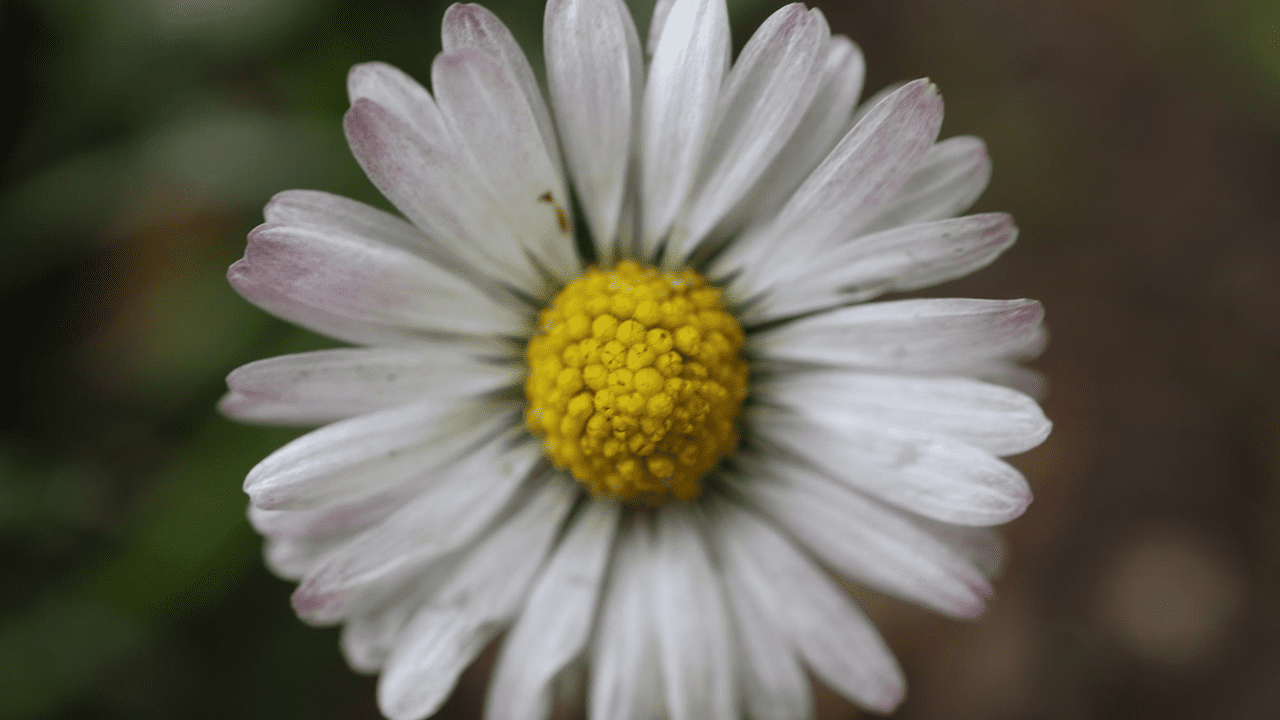 La balade censée durer 30min qui finit 3h plus tard après mes 12.000 photos. Mais ça vaut le coup, dîtes, hein ?